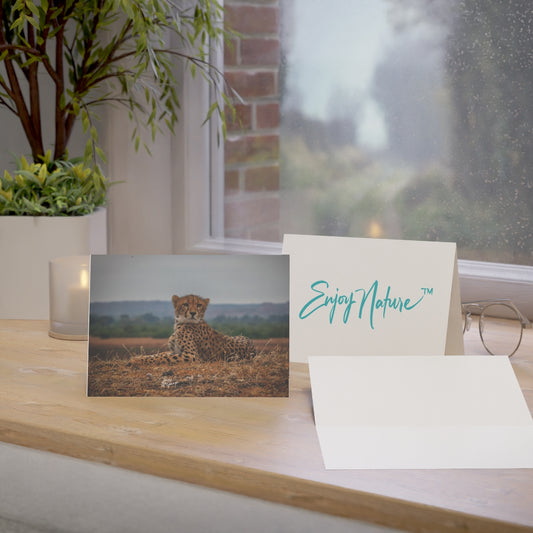 The Perfect Gift: Fine Art Note Cards