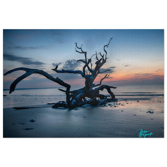 Nature Puzzles, Sunrise on Jekyll Island, nature inspired