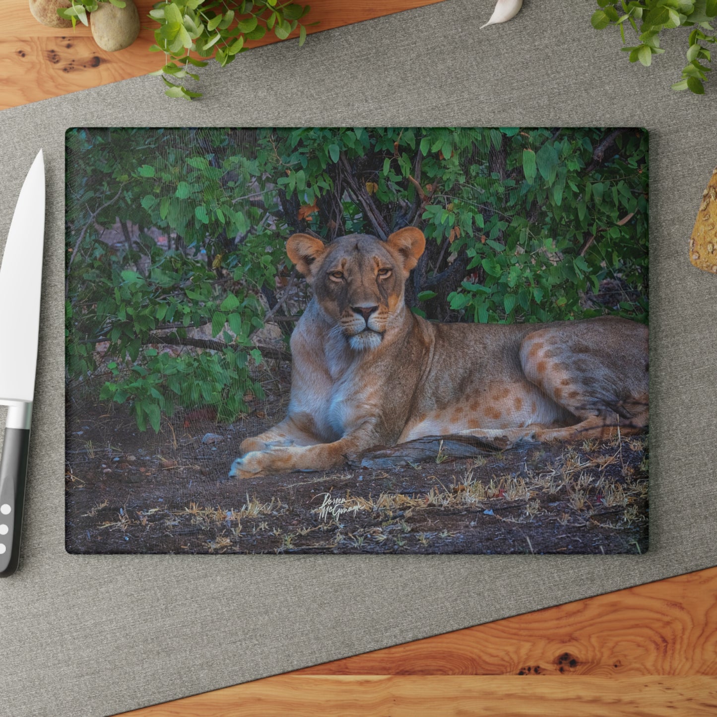 Enjoy Nature Glass Charcuterie Cutting Board with "Dreaming About a Lioness" Design