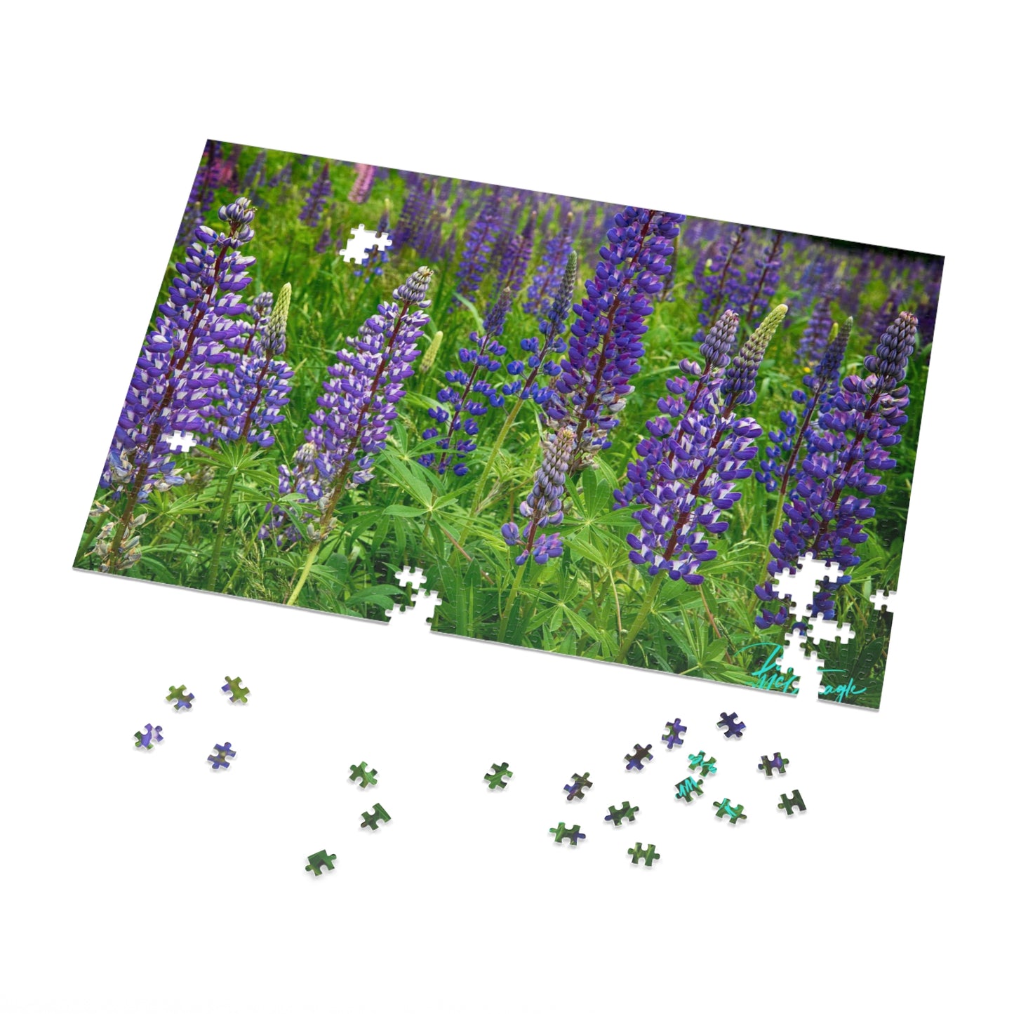 Nature Puzzles, Maine Wild Lupines, Inspired by Nature