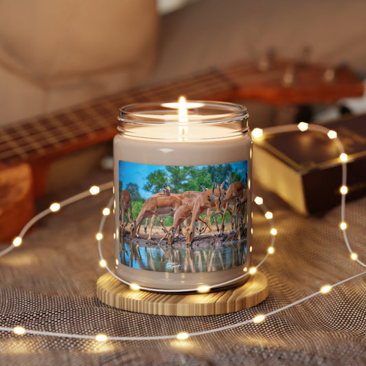 Experience the Pure Essence of Nature with the African Antelope at Watering Hole Scented Soy Candle by Enjoy Nature