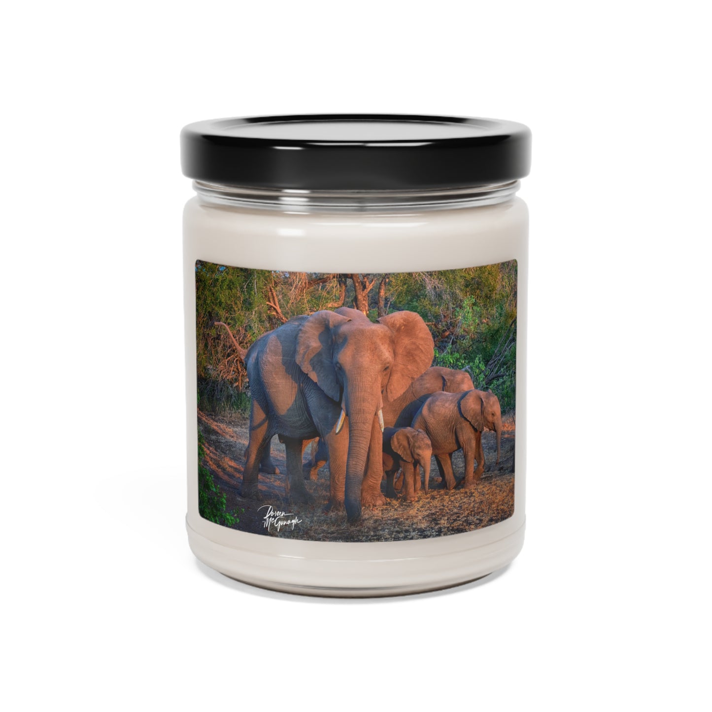 Experience the Pure Essence of Nature with the Herd of Elephant Walking Scented Soy Candle by Enjoy Nature