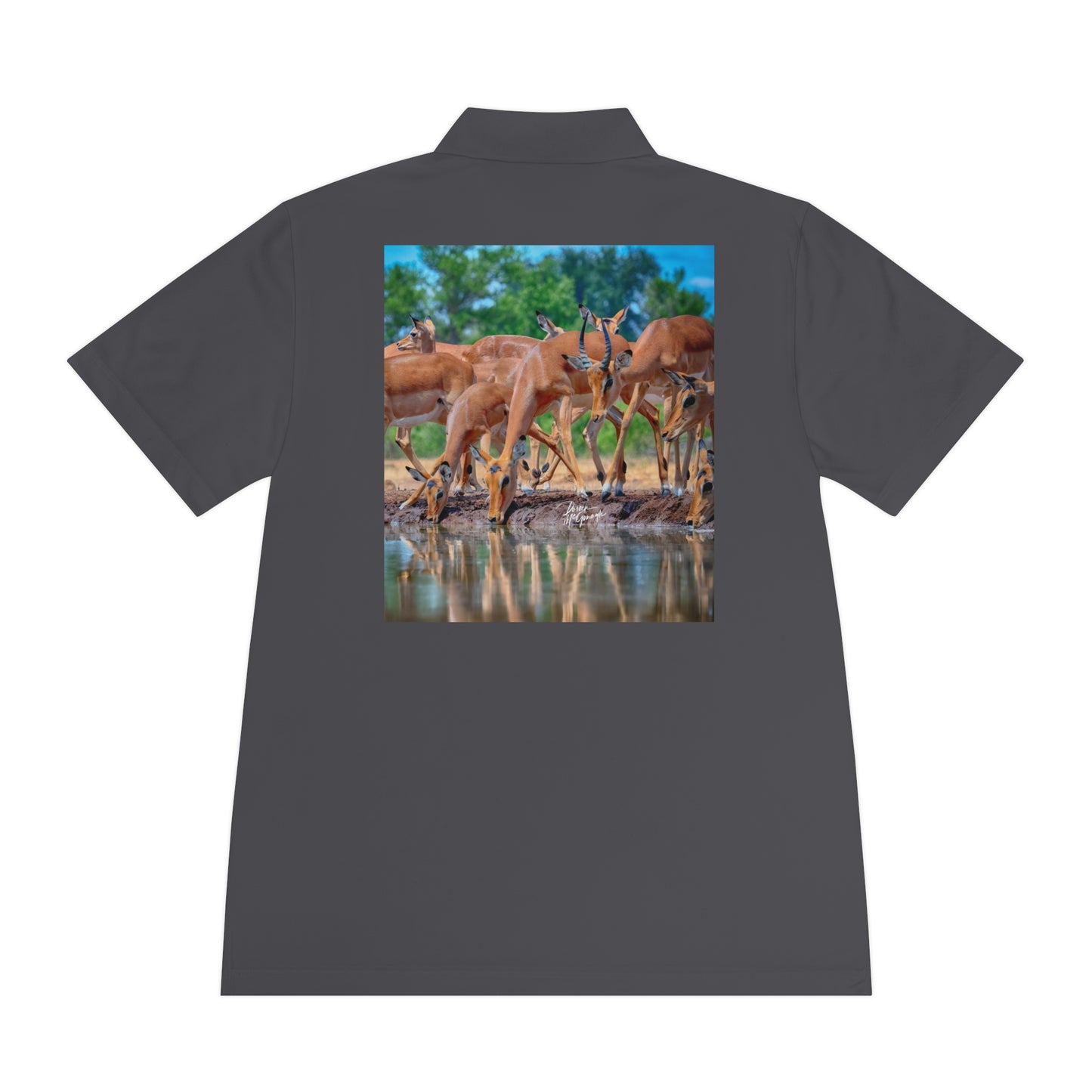 Men's Performance Polo Shirt - African Antelope by Enjoy Nature