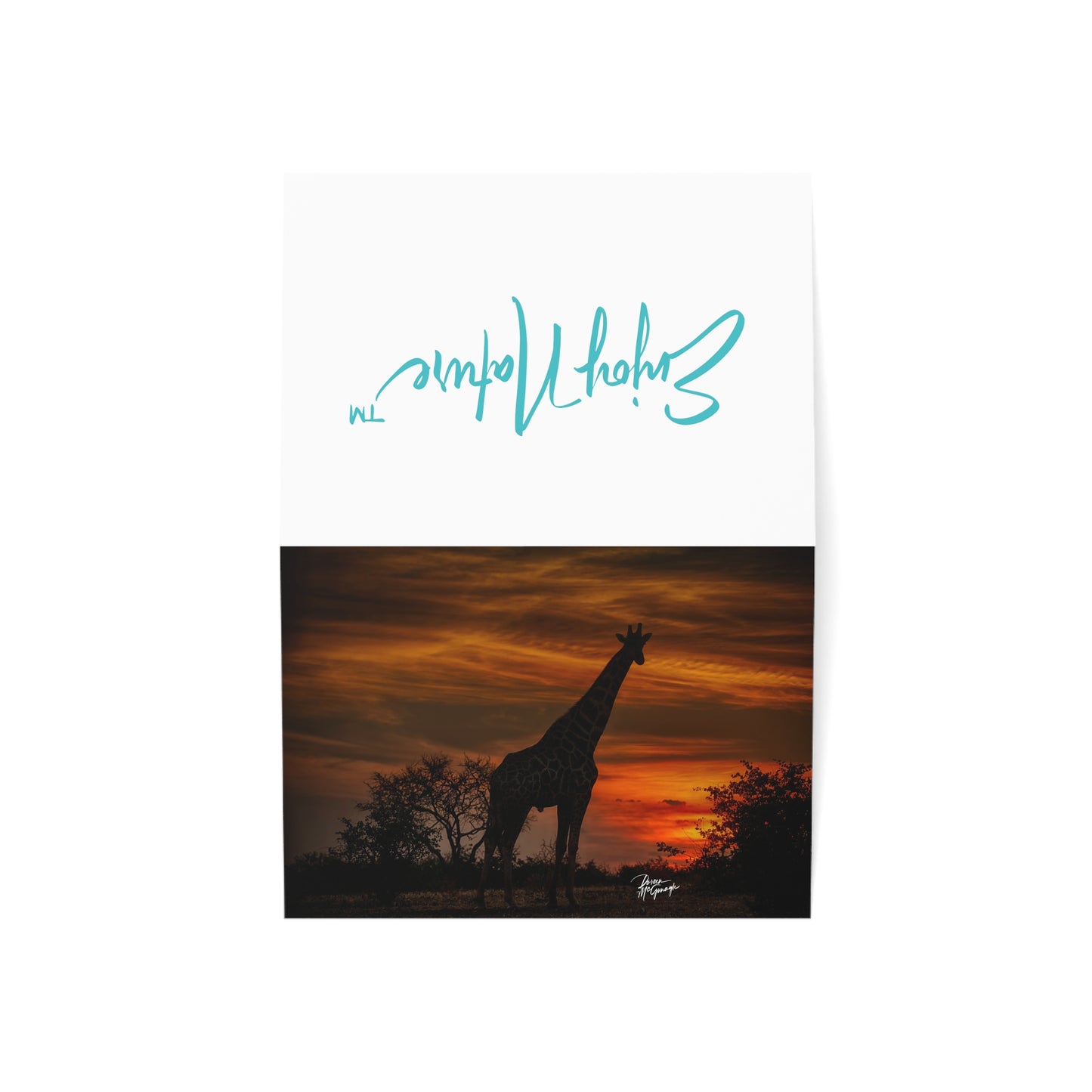 5x7 Note Card Box of 10: Giraffe Silhouette at Sunset in Botswana