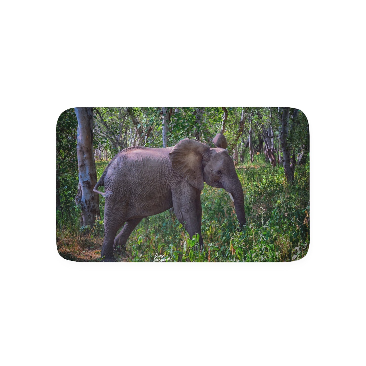 Baby Elephant in Forest Memory Foam Bath Mat