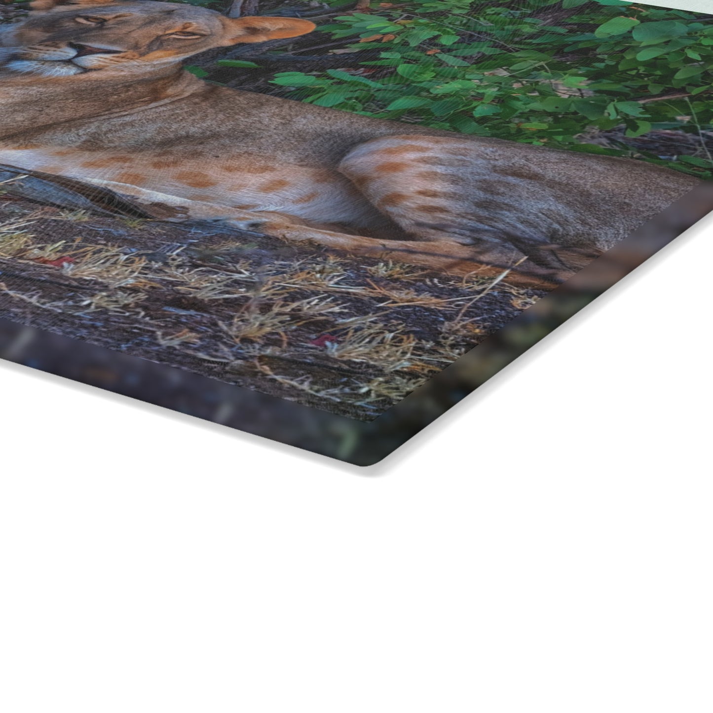 Enjoy Nature Glass Charcuterie Cutting Board with "Dreaming About a Lioness" Design