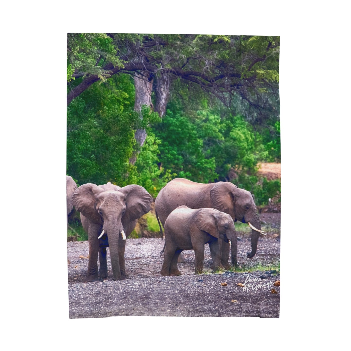 Velveteen Plush Blanket with Elephant Family at Riverbed by Enjoy Nature