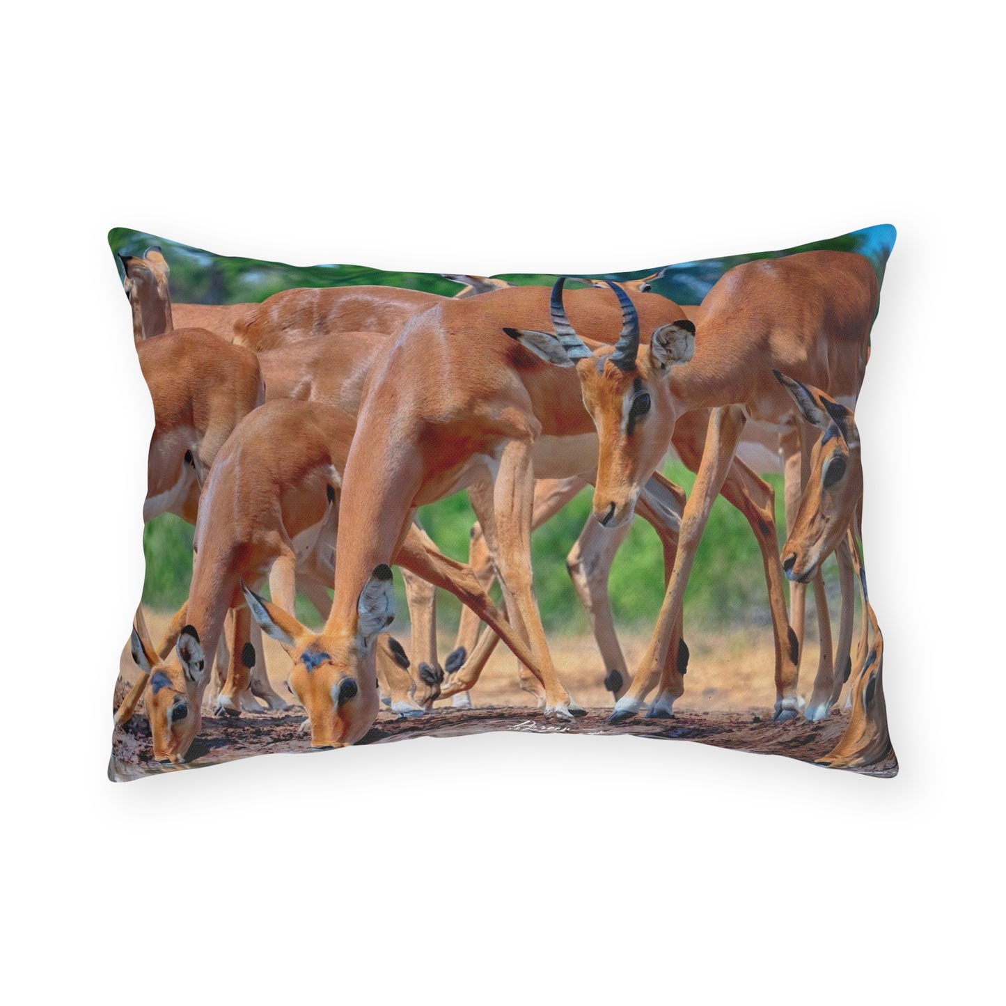 Enjoy Nature Outdoor Pillow with African Antelope at Watering Hole – Artistic, Comfy, and Durable Decorative Accent