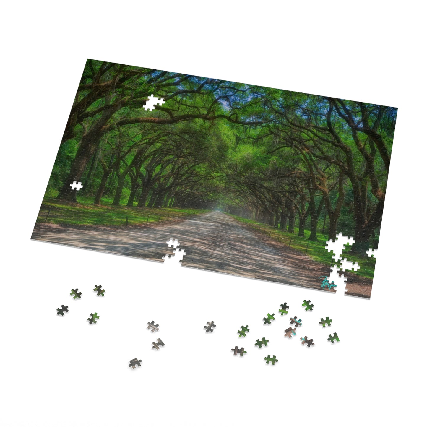 Nature puzzles, Avenue of Oaks, insured by nature