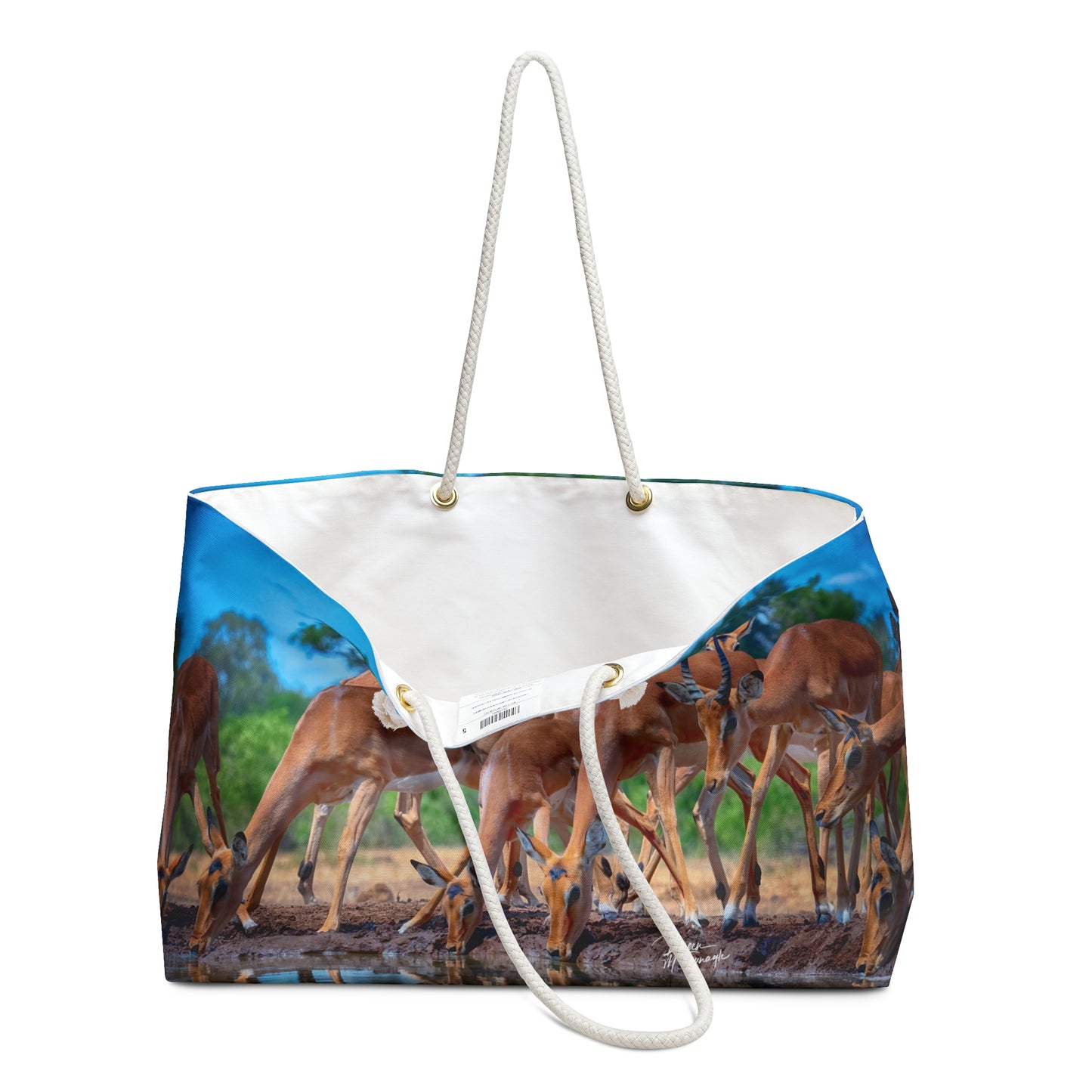 Weekender Tote Bag: African Antelope by Enjoy Nature