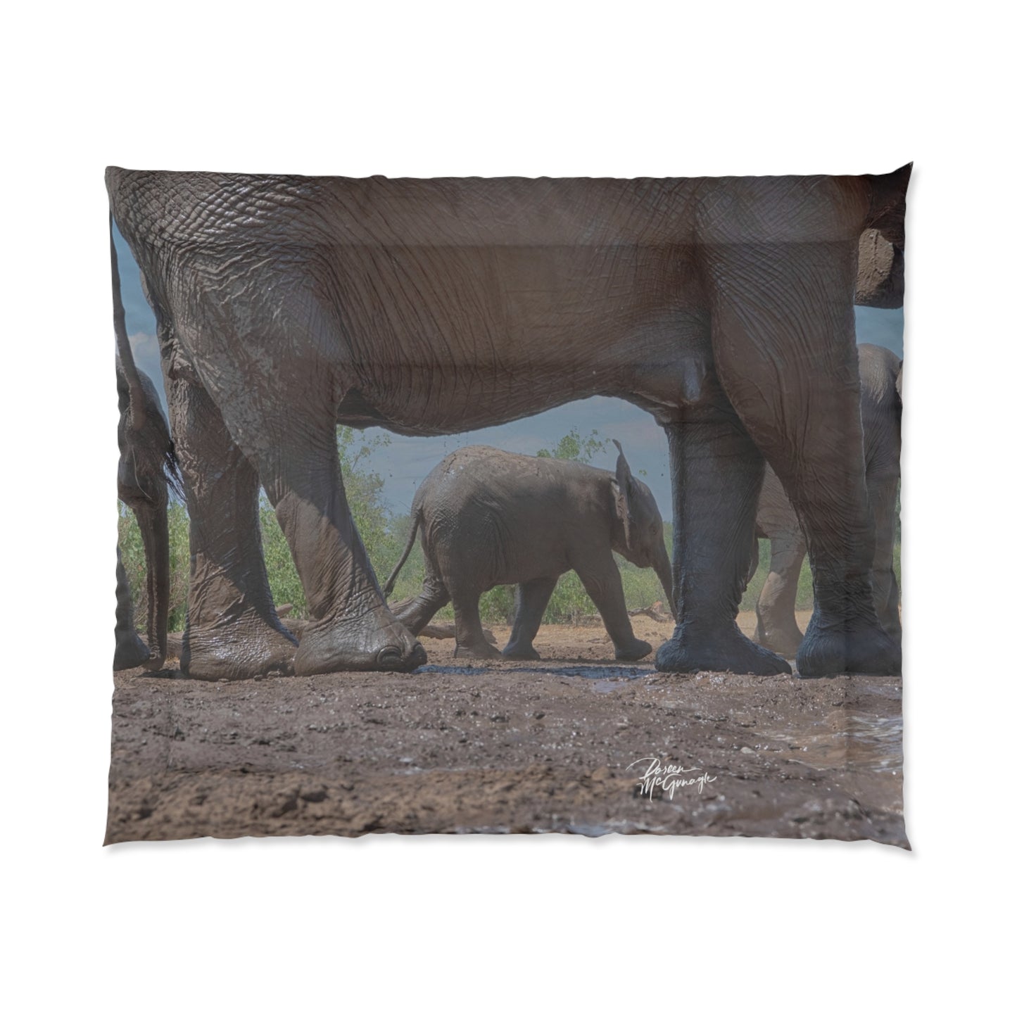 Elephant Baby Under Mom's Watchful Eye Comforter by Enjoy Nature