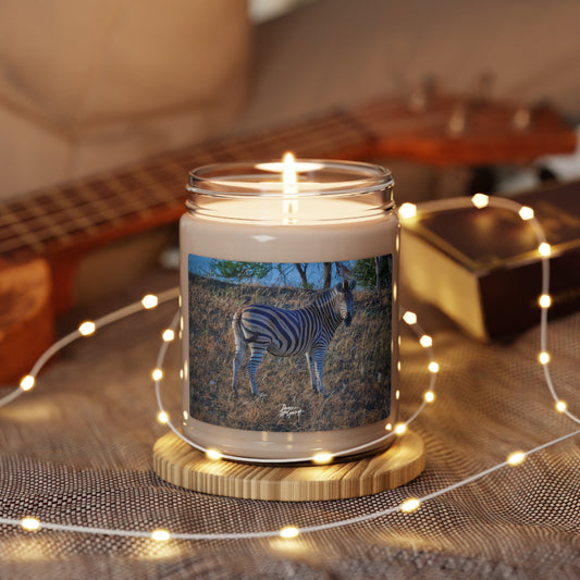 Experience the Pure Essence of Nature with the Baby Zebra Scented Soy Candle by Enjoy Nature