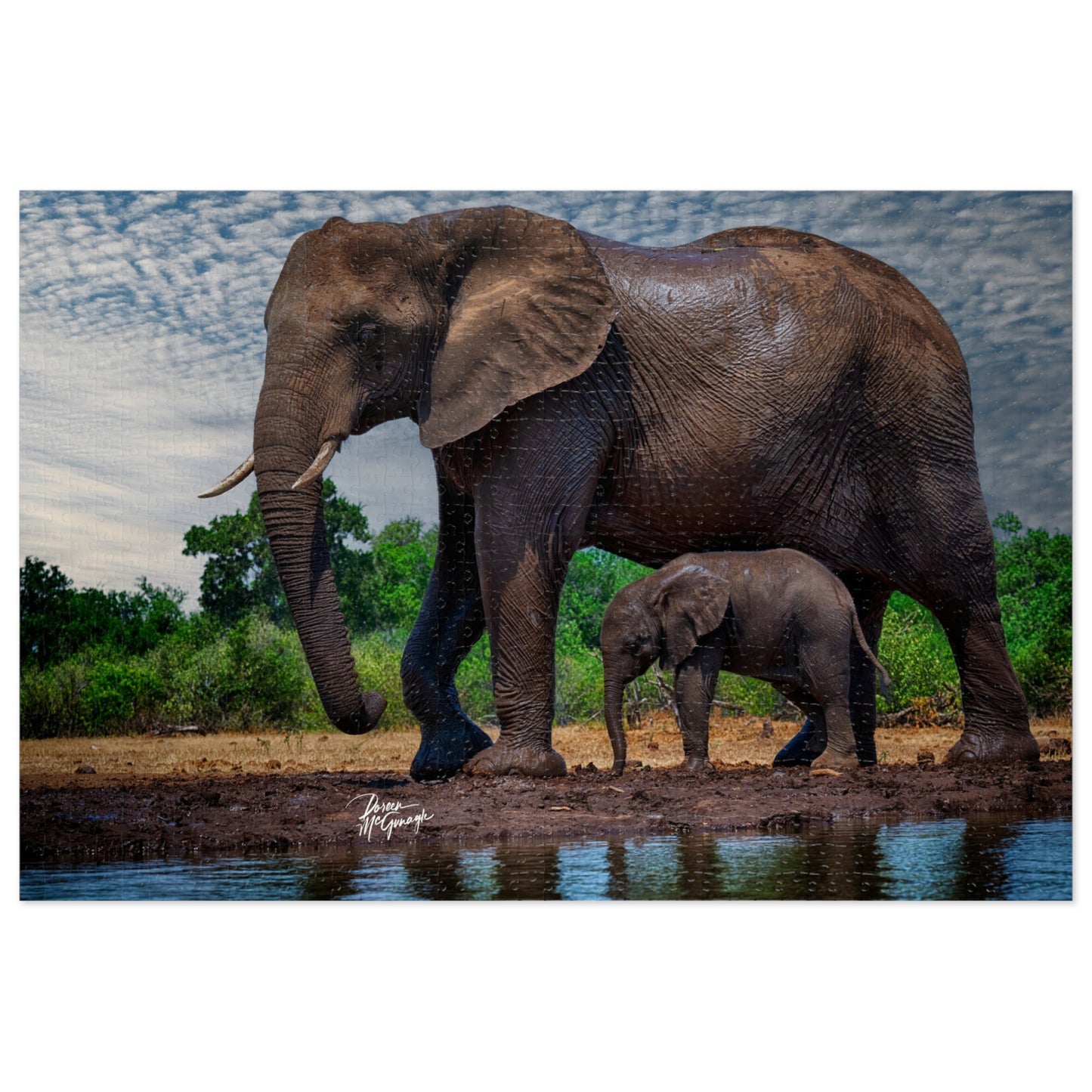 Elephant Baby Under Mom's Watchful Eye Jigsaw Puzzle by Enjoy Nature