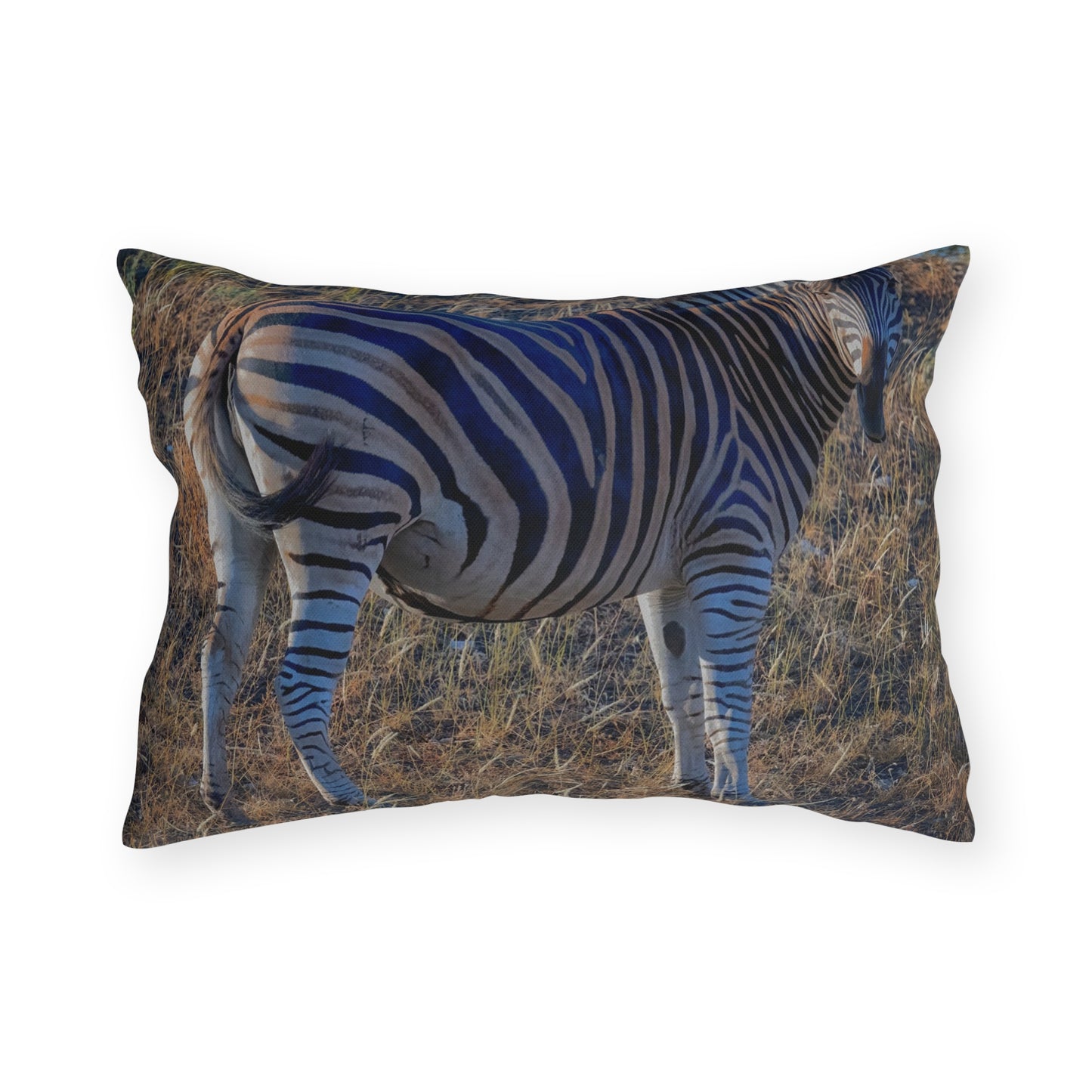 Enjoy Nature Outdoor Pillow with Baby Zebra – Artistic, Comfy, and Durable Decorative Accent