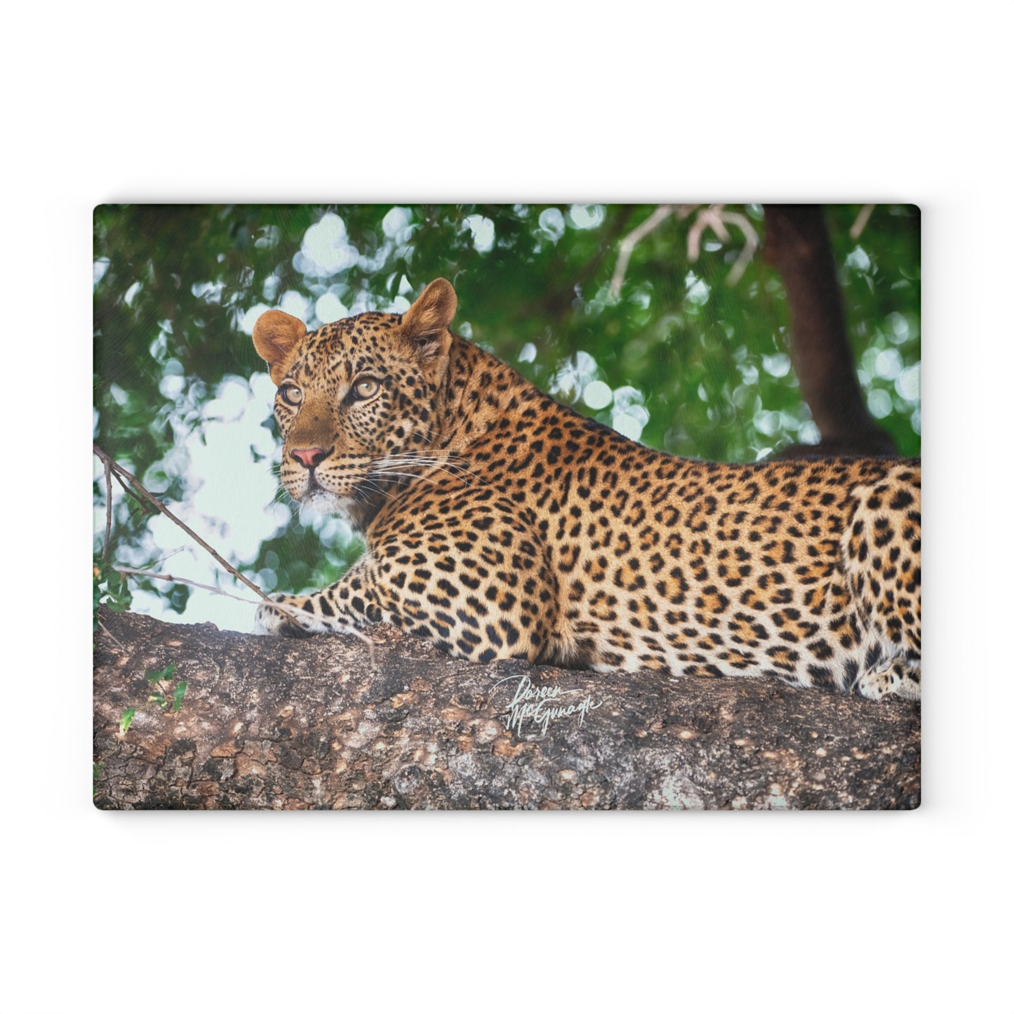 Enjoy Nature Glass Charcuterie Cutting Board with Leopard in Tree Design