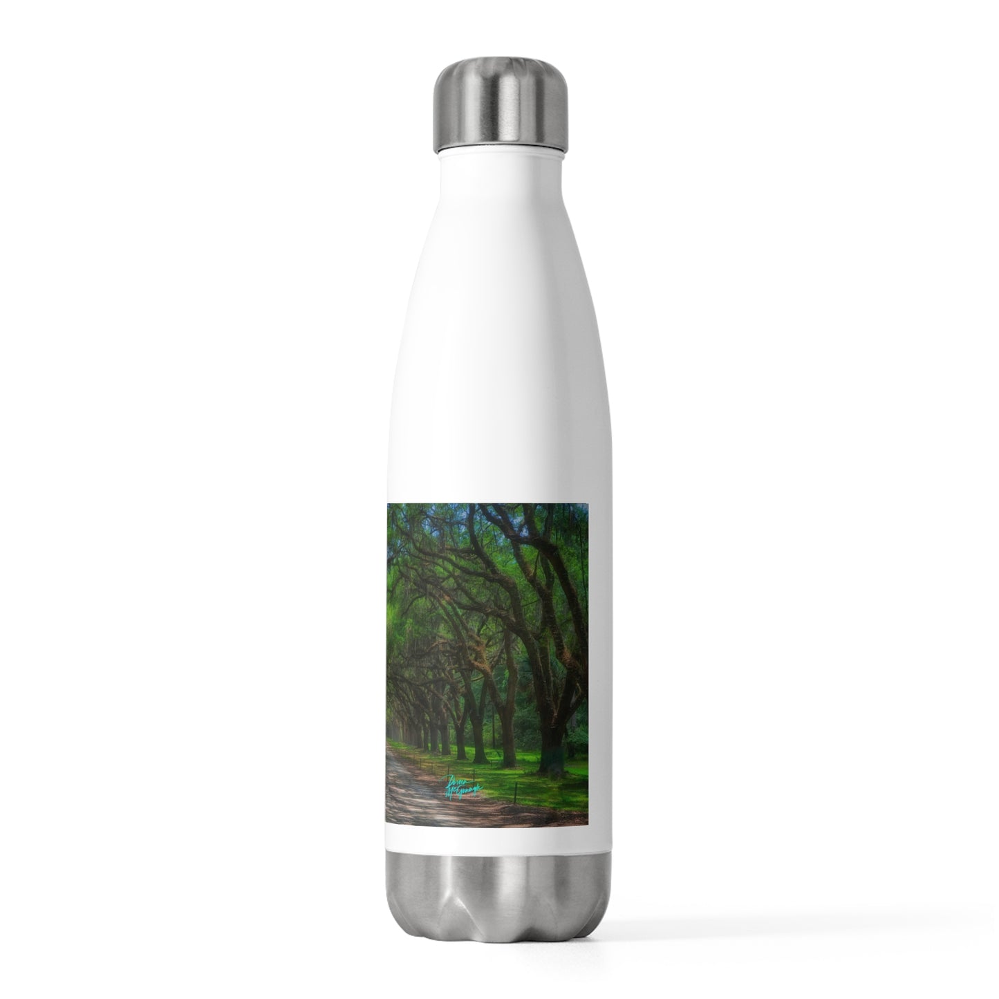 Eco friendly water bottle, Live Oak Avenue, 20oz Insulated Bottle