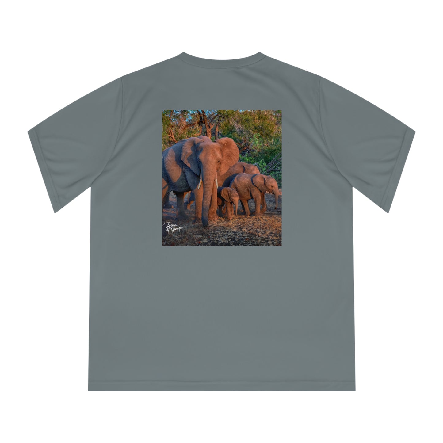 Women's Performance V-Neck T-Shirt - Elephant Family Walking by Enjoy Nature