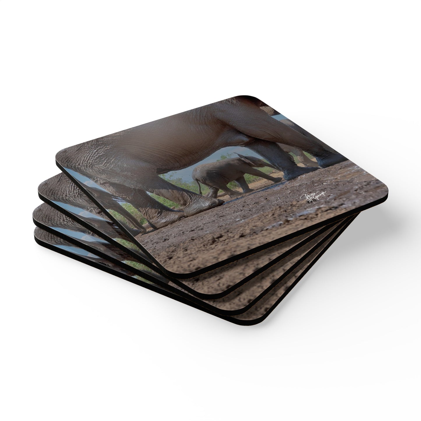 Elephant Baby Corkwood Coaster Set (Box of 4)