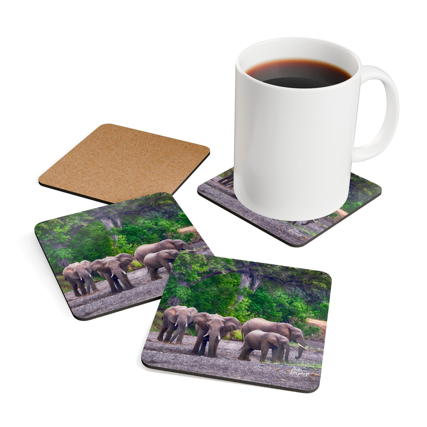 Elephant Family in Valley Corkwood Coaster Set (Box of 4)