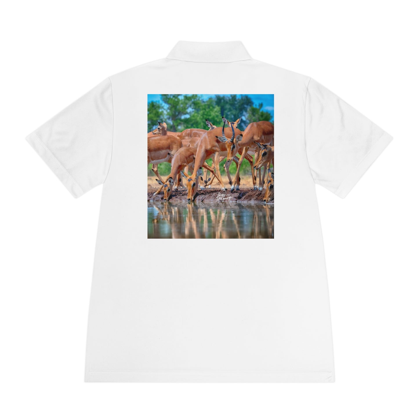 Men's Performance Polo Shirt - African Antelope by Enjoy Nature