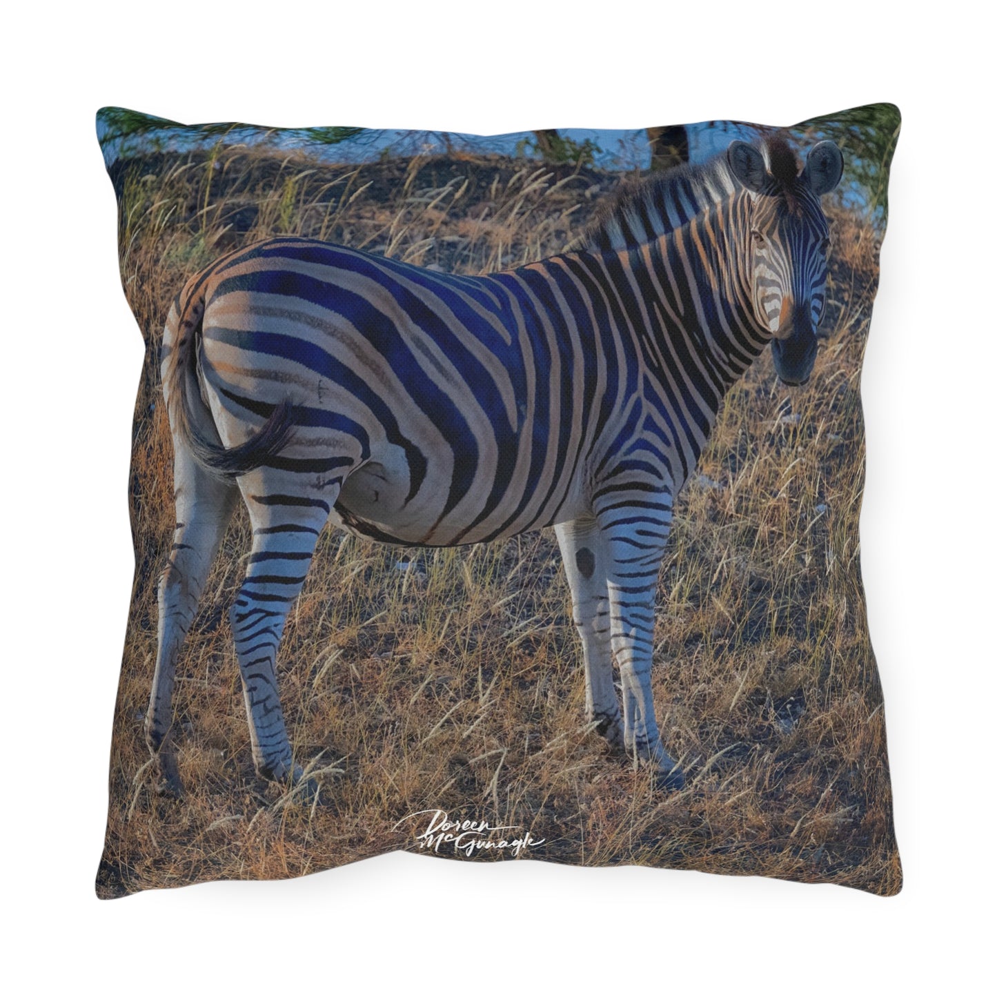 Enjoy Nature Outdoor Pillow with Baby Zebra – Artistic, Comfy, and Durable Decorative Accent