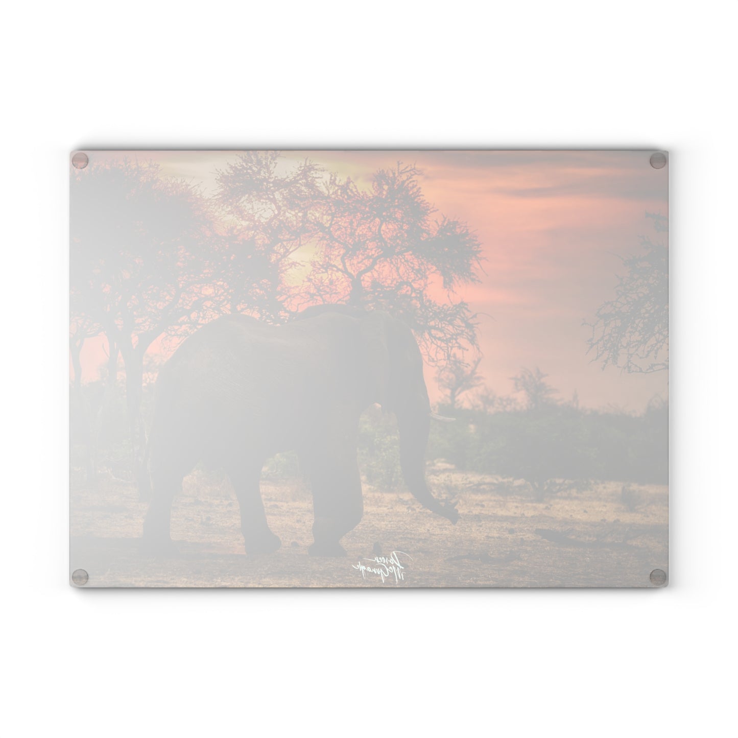 Enjoy Nature Glass Charcuterie Cutting Board with Spirited Elephant at Sunset Design