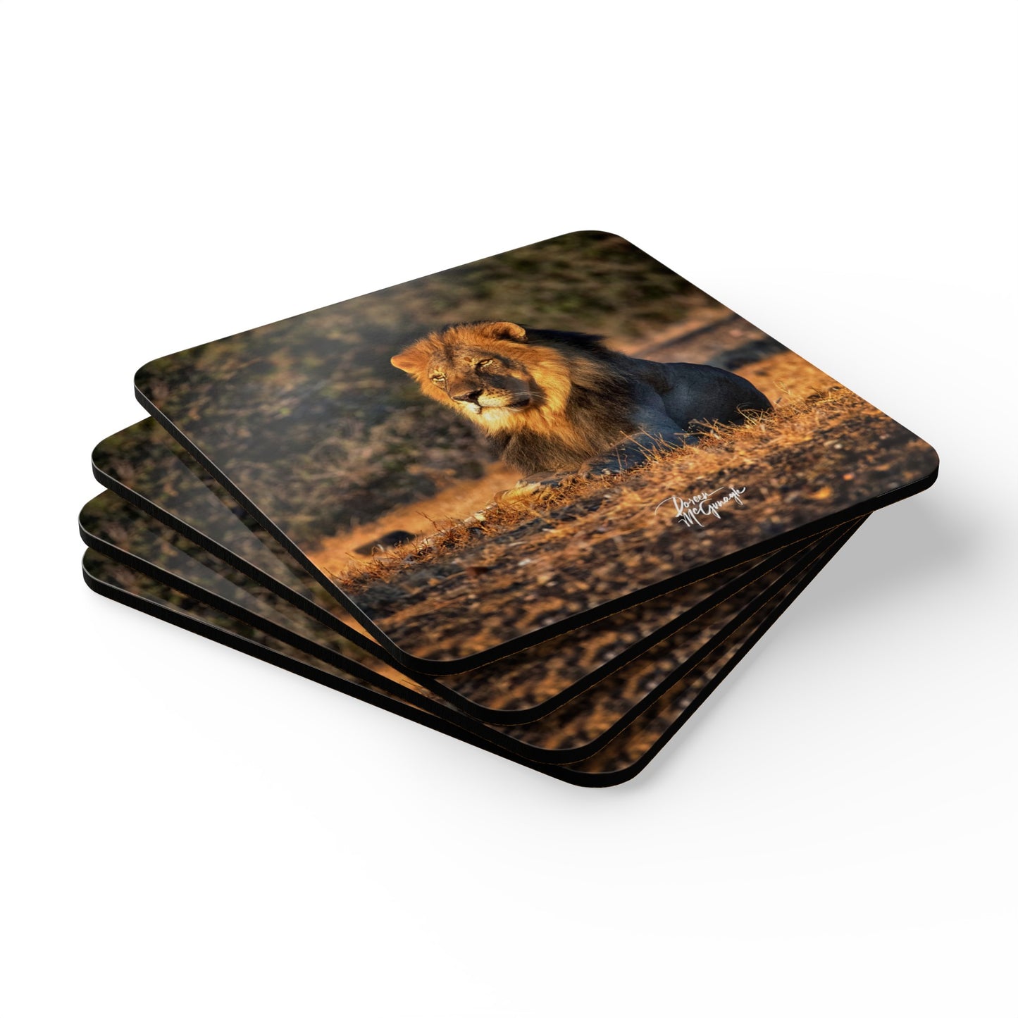 Lion King of the Jungle Corkwood Coaster Set (Box of 4)