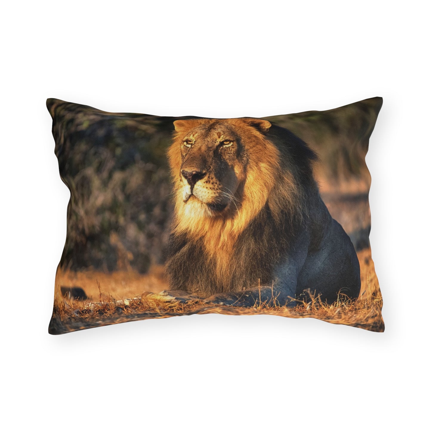 Enjoy Nature Outdoor Pillow with Lion King of Jungle – Artistic, Comfy, and Durable Decorative Accent