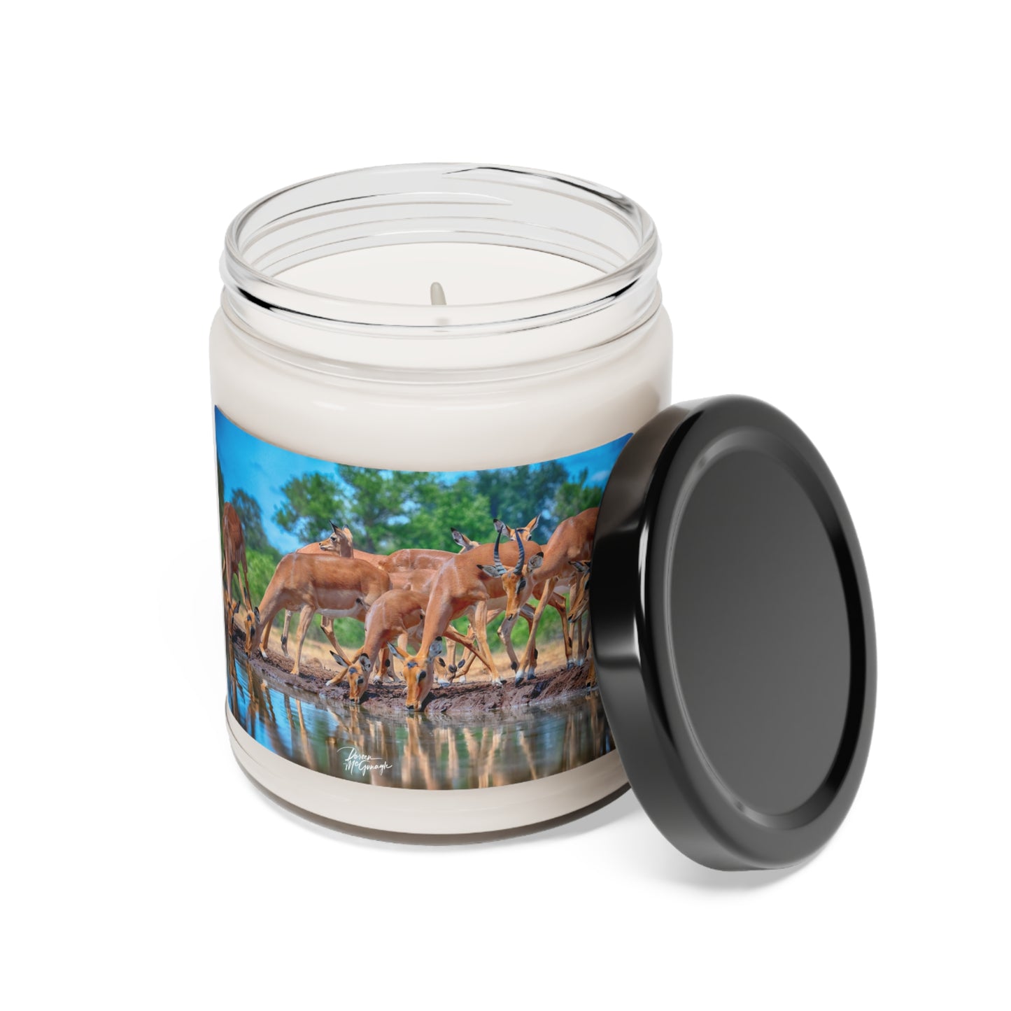 Experience the Pure Essence of Nature with the African Antelope at Watering Hole Scented Soy Candle by Enjoy Nature