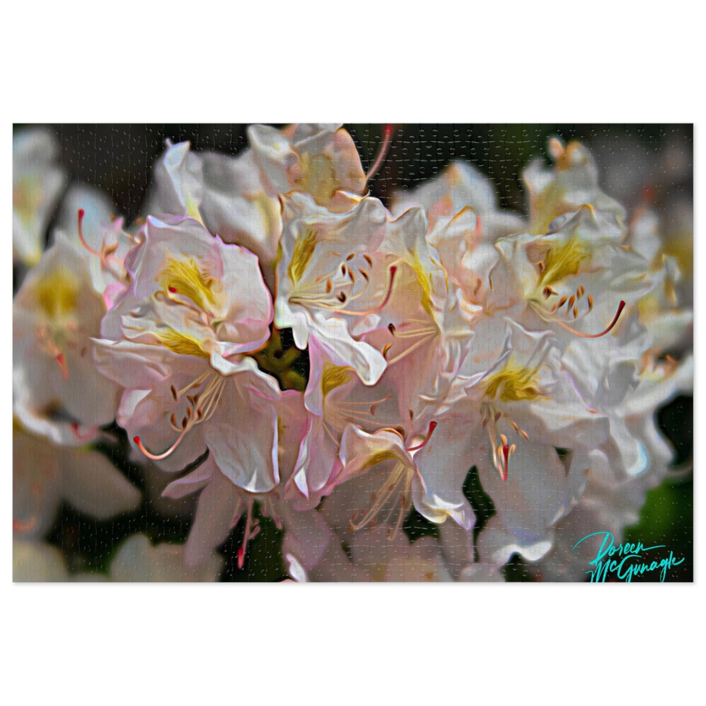 Nature Puzzles, Nova Scotia White Azalea, inspired by nature