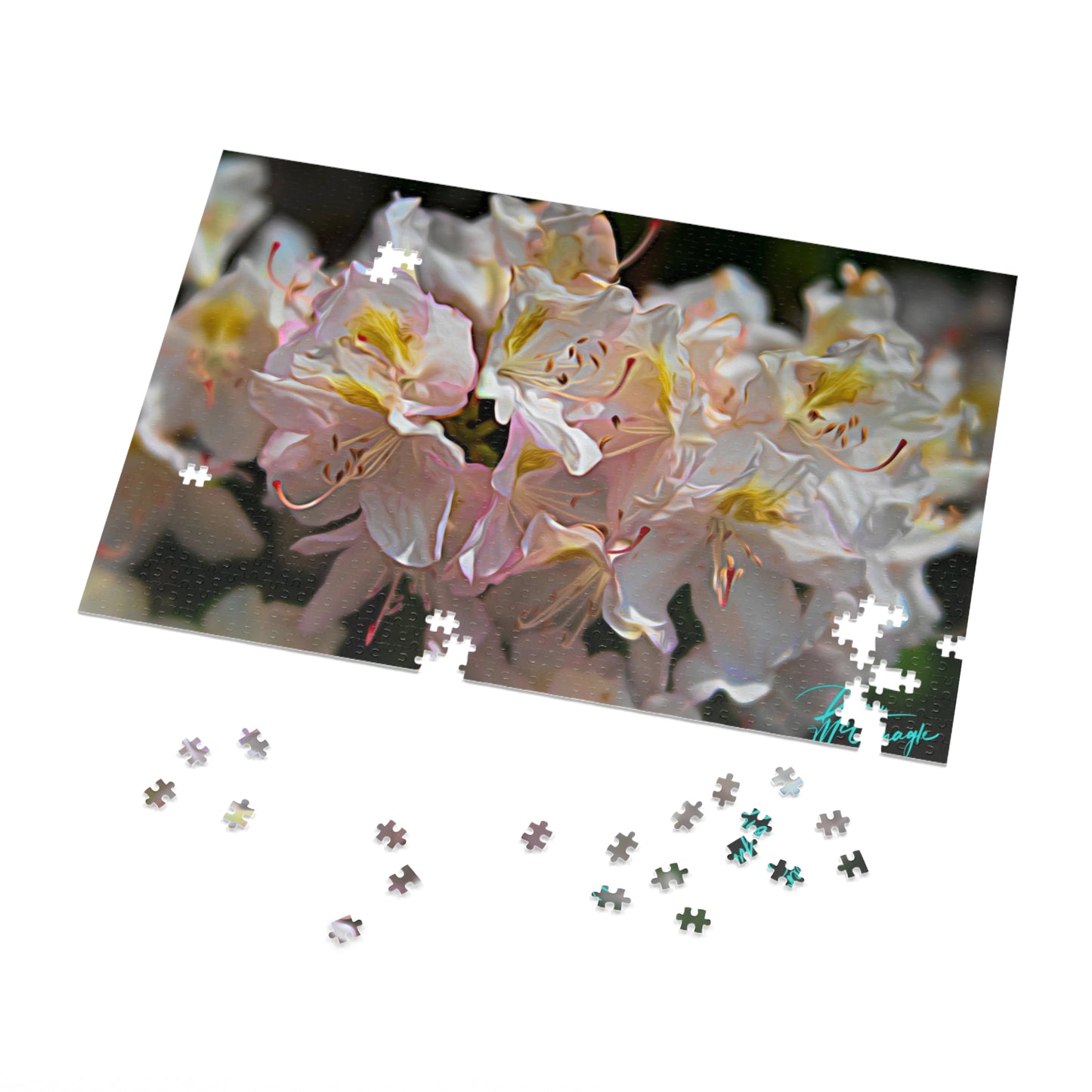 Nature Puzzles, Nova Scotia White Azalea, inspired by nature