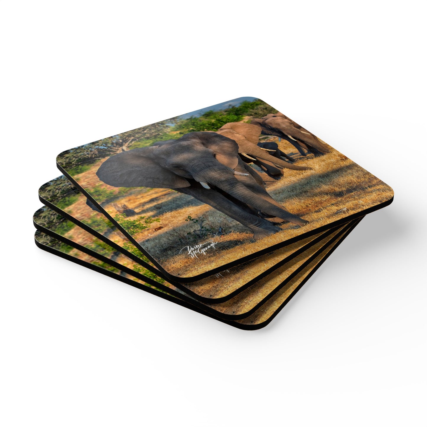 Elephant Walk Corkwood Coaster Set (Box of 4)