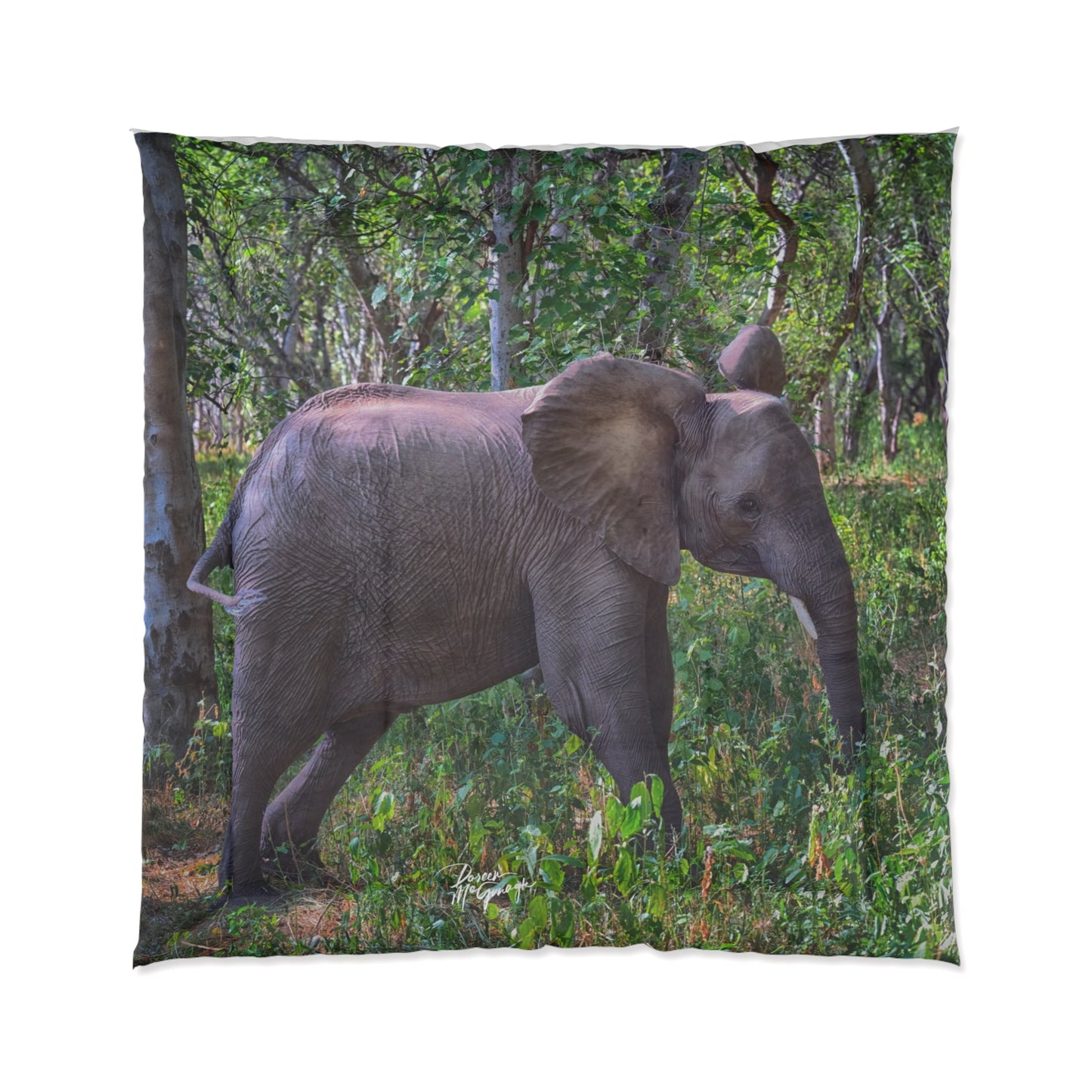 Elephant Baby in Forest Comforter by Enjoy Nature