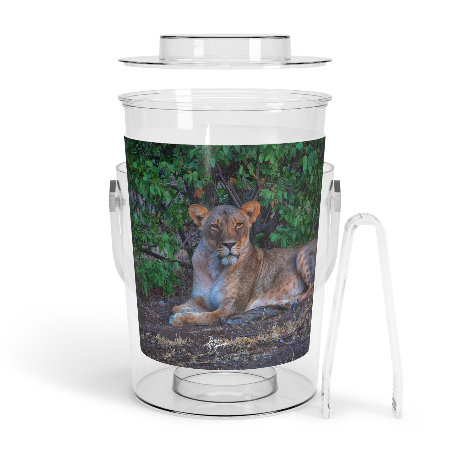 Enjoy Nature Dreaming About a Lioness Insulated Ice Bucket