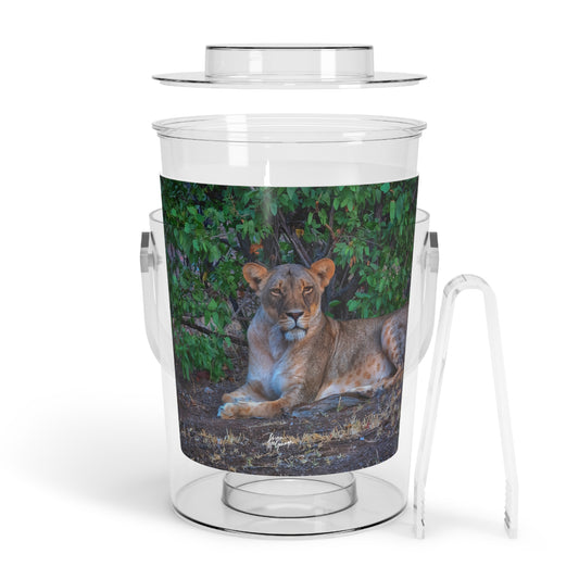 Enjoy Nature Dreaming About a Lioness Insulated Ice Bucket