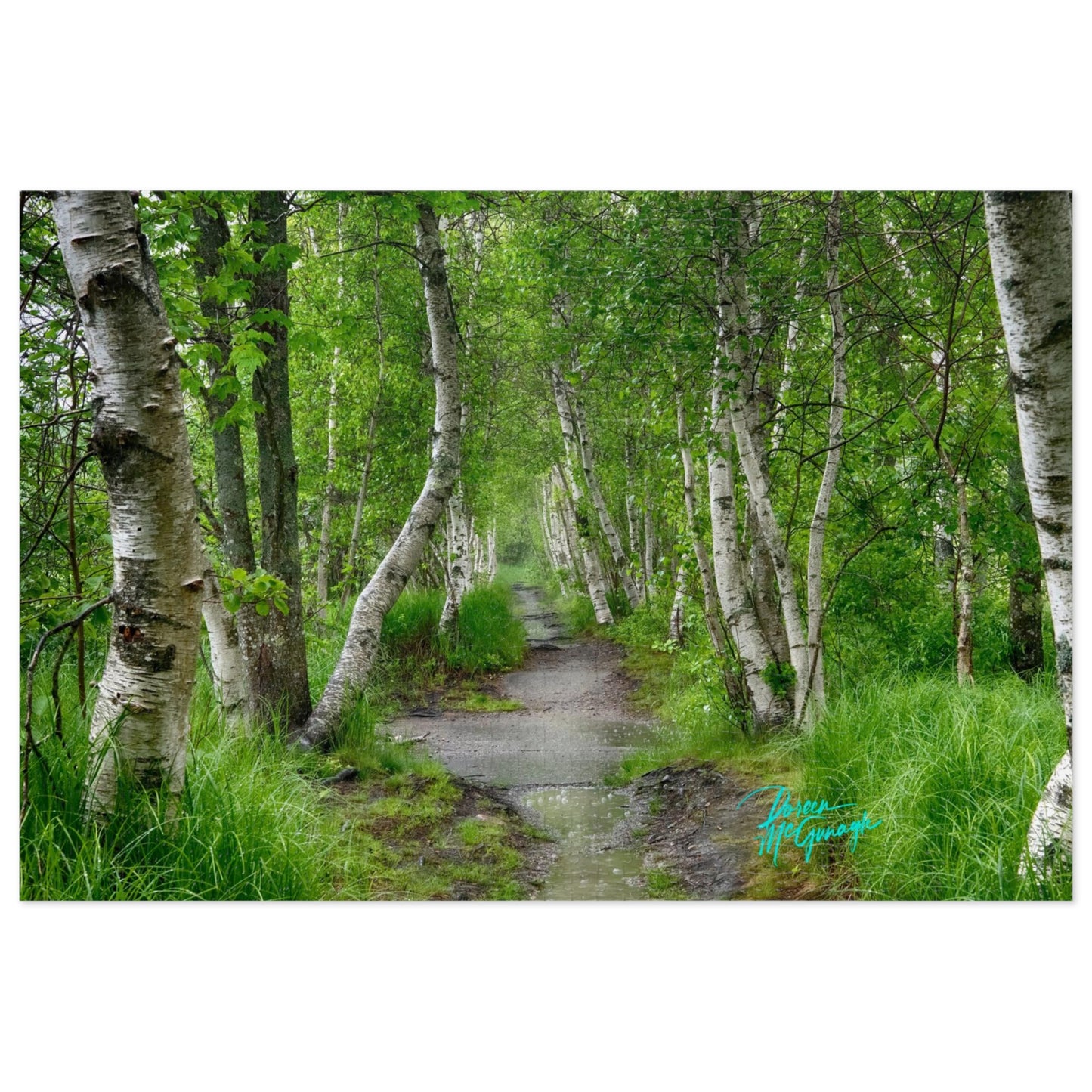 Nature Puzzles, Silver Birch Trail, inspired by nature