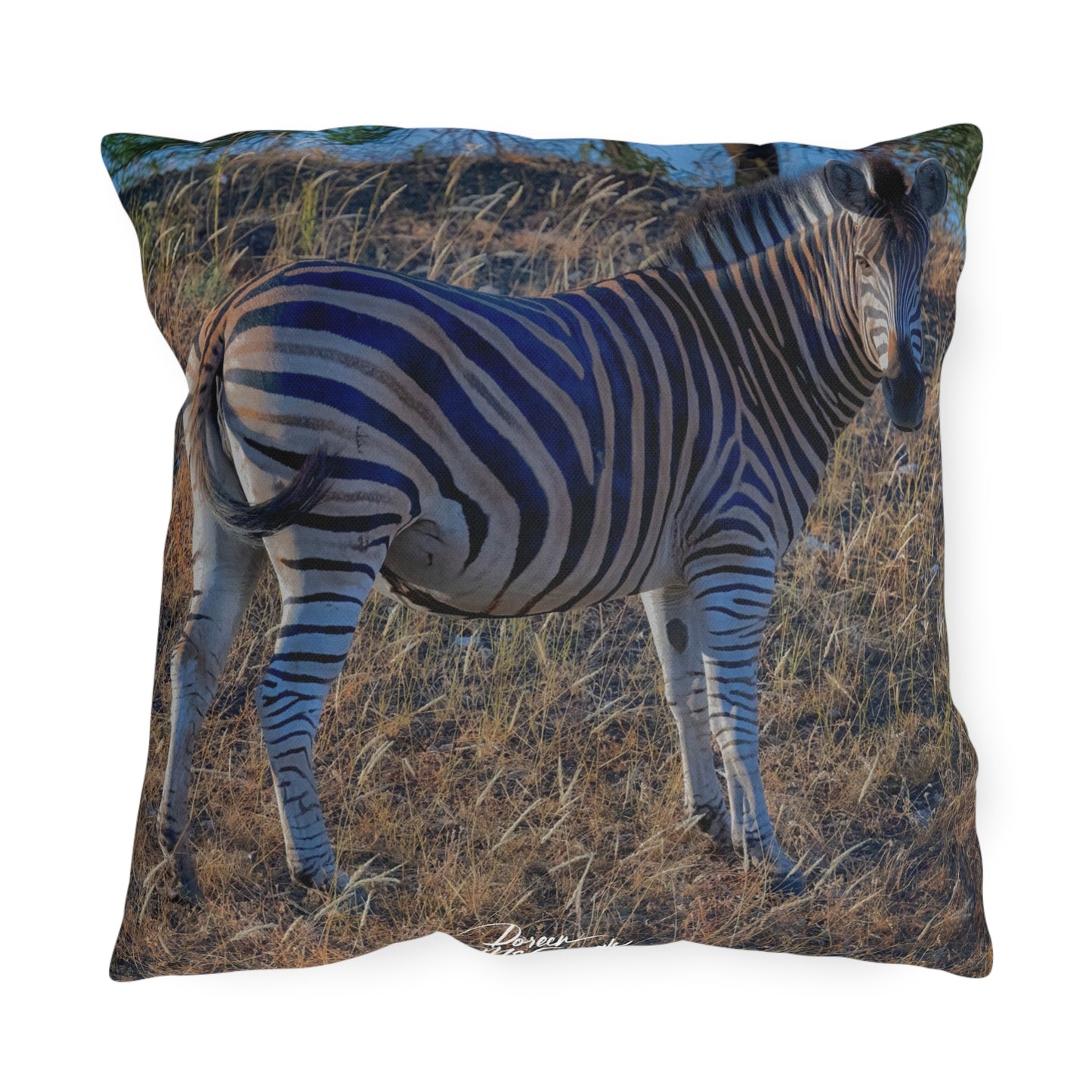 Enjoy Nature Outdoor Pillow with Baby Zebra – Artistic, Comfy, and Durable Decorative Accent