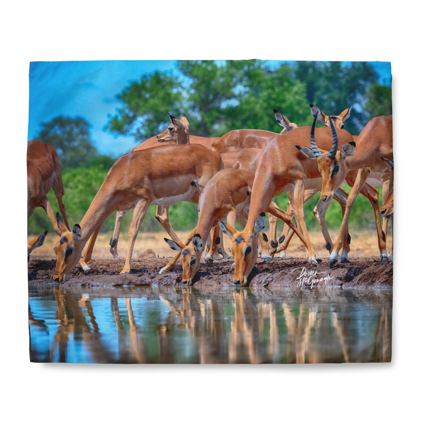 Enjoy Nature African Antelope at Watering Hole Duvet Cover