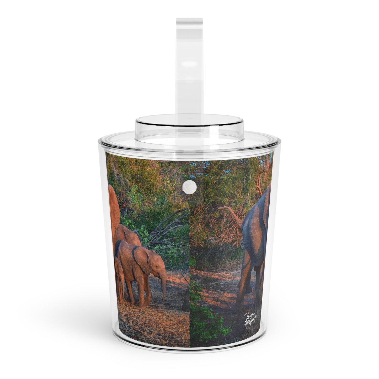 Enjoy Nature Elephant Family Insulated Ice Bucket