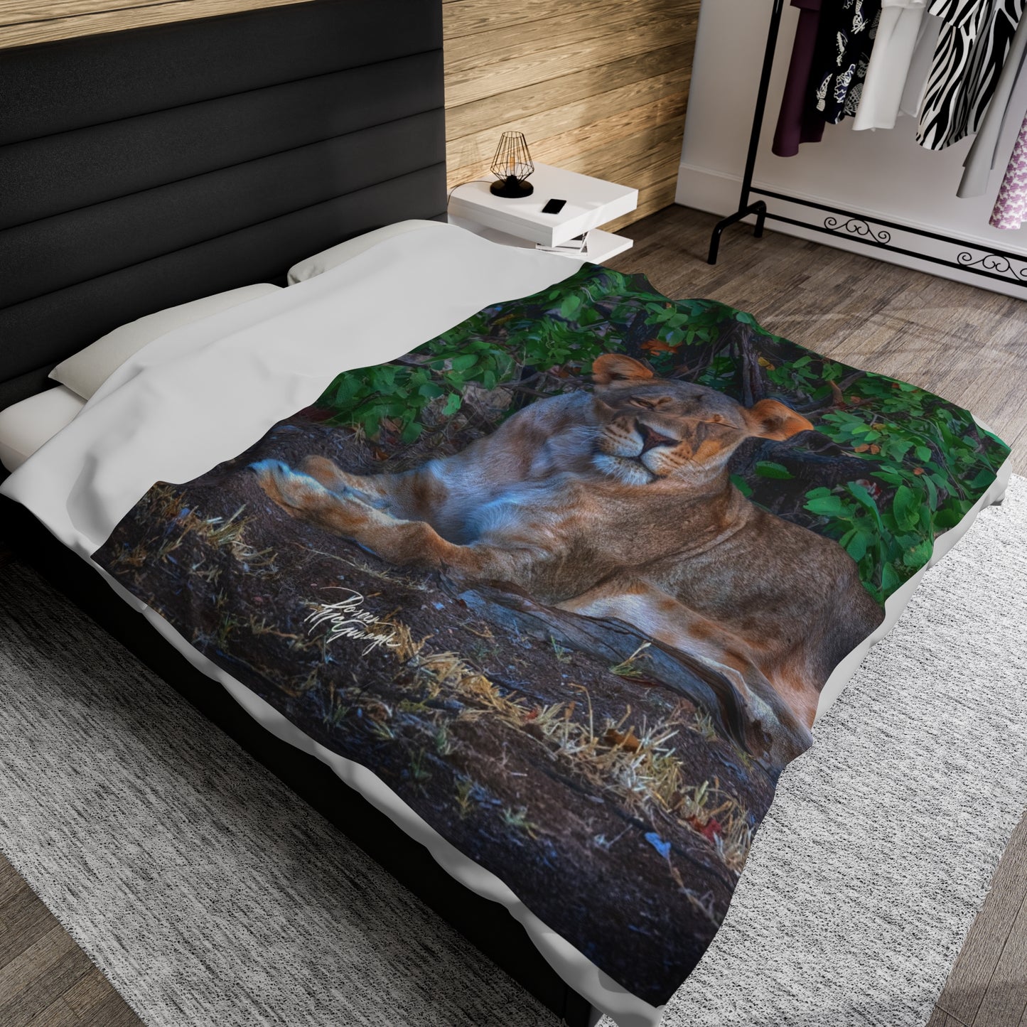 Velveteen Plush Blanket with Dreaming About a Lioness by Enjoy Nature