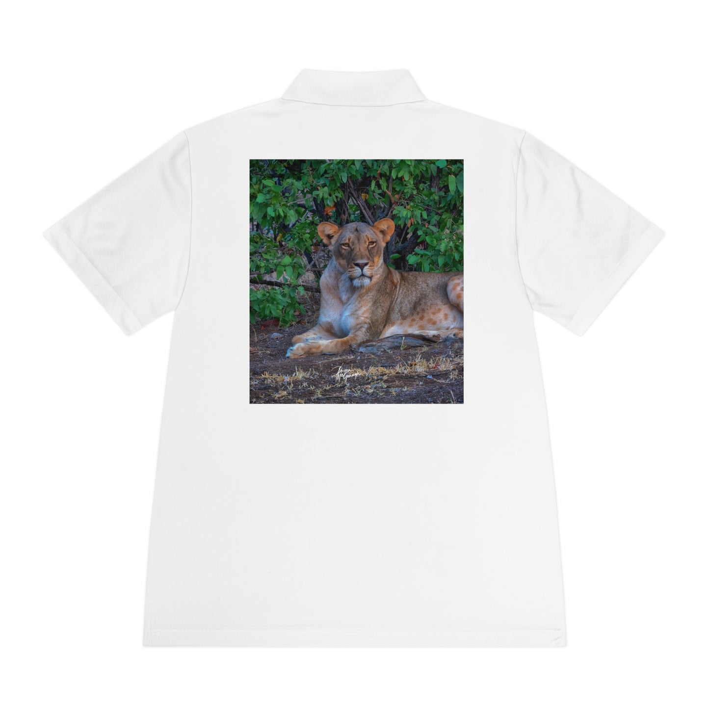 Men's Performance Polo Shirt - Dreaming of a Lioness by Enjoy Nature