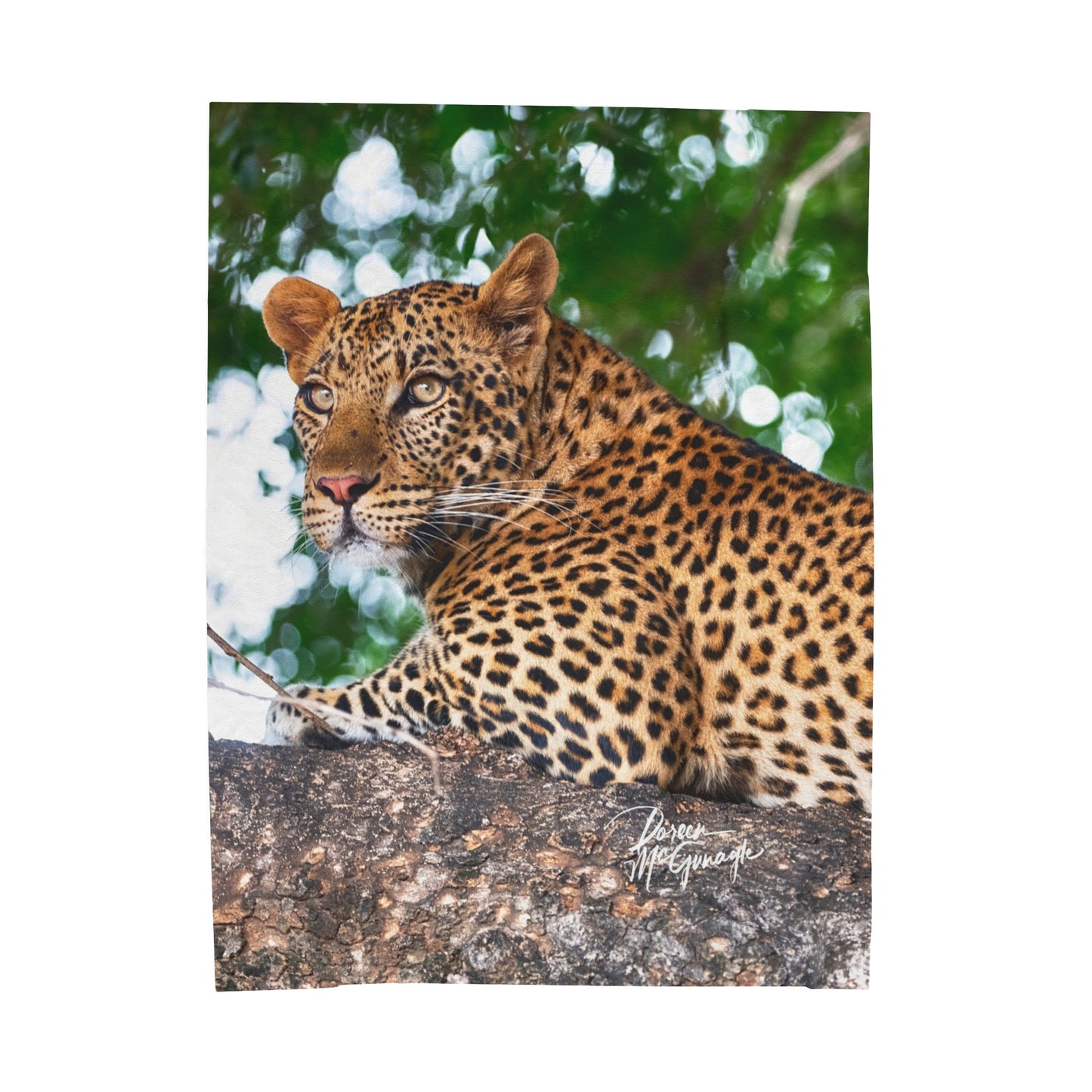 Velveteen Plush Blanket with Leopard in Tree by Enjoy Nature