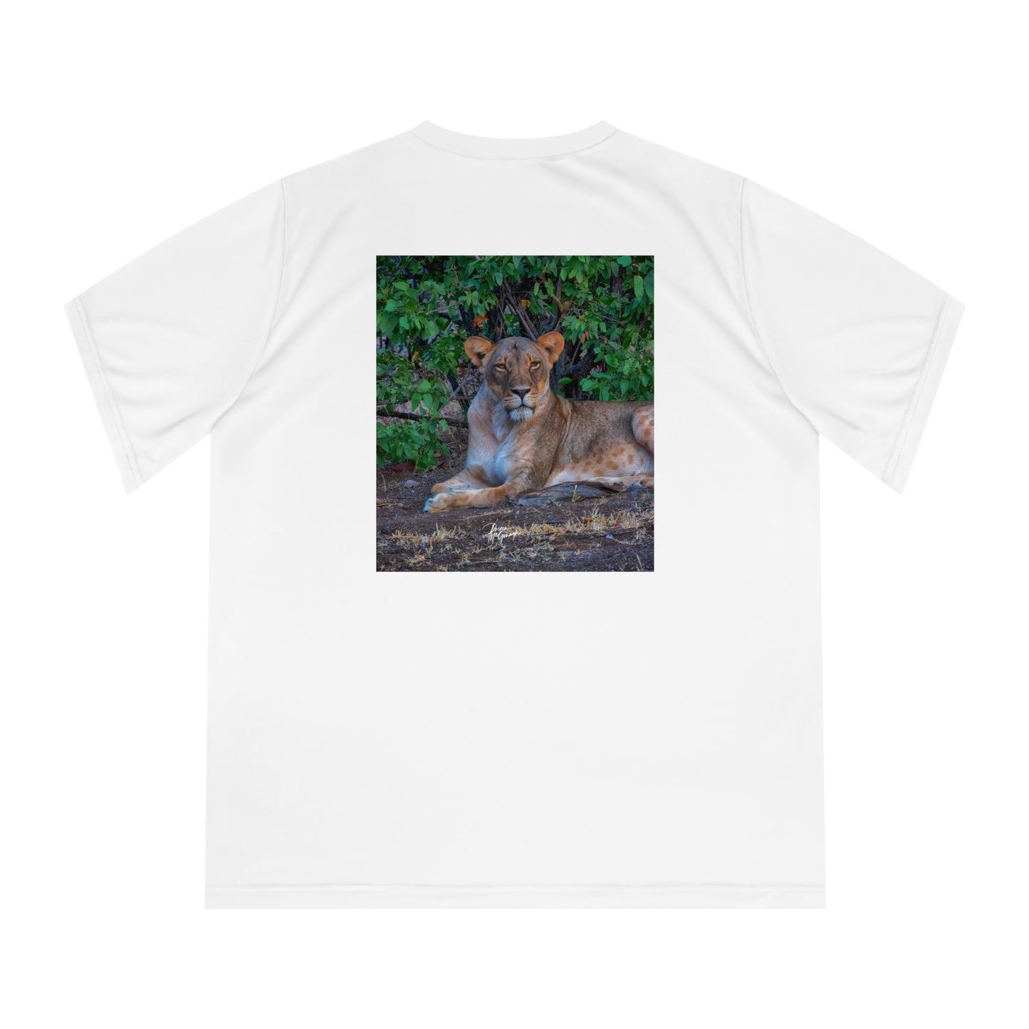 Women's Performance V-Neck T-Shirt - Dreaming About a Lioness by Enjoy Nature