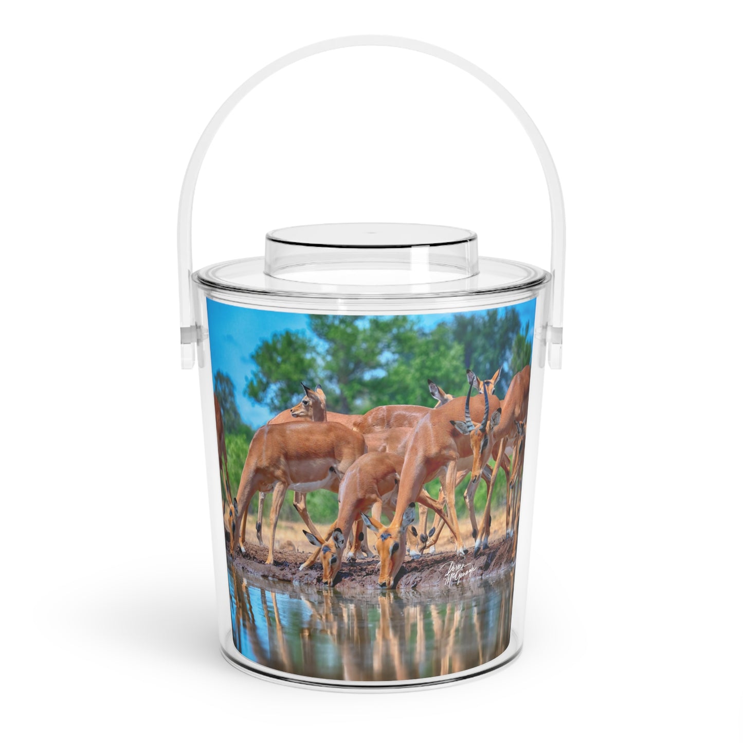 Enjoy Nature African Antelope at Watering Hole Insulated Ice Bucket