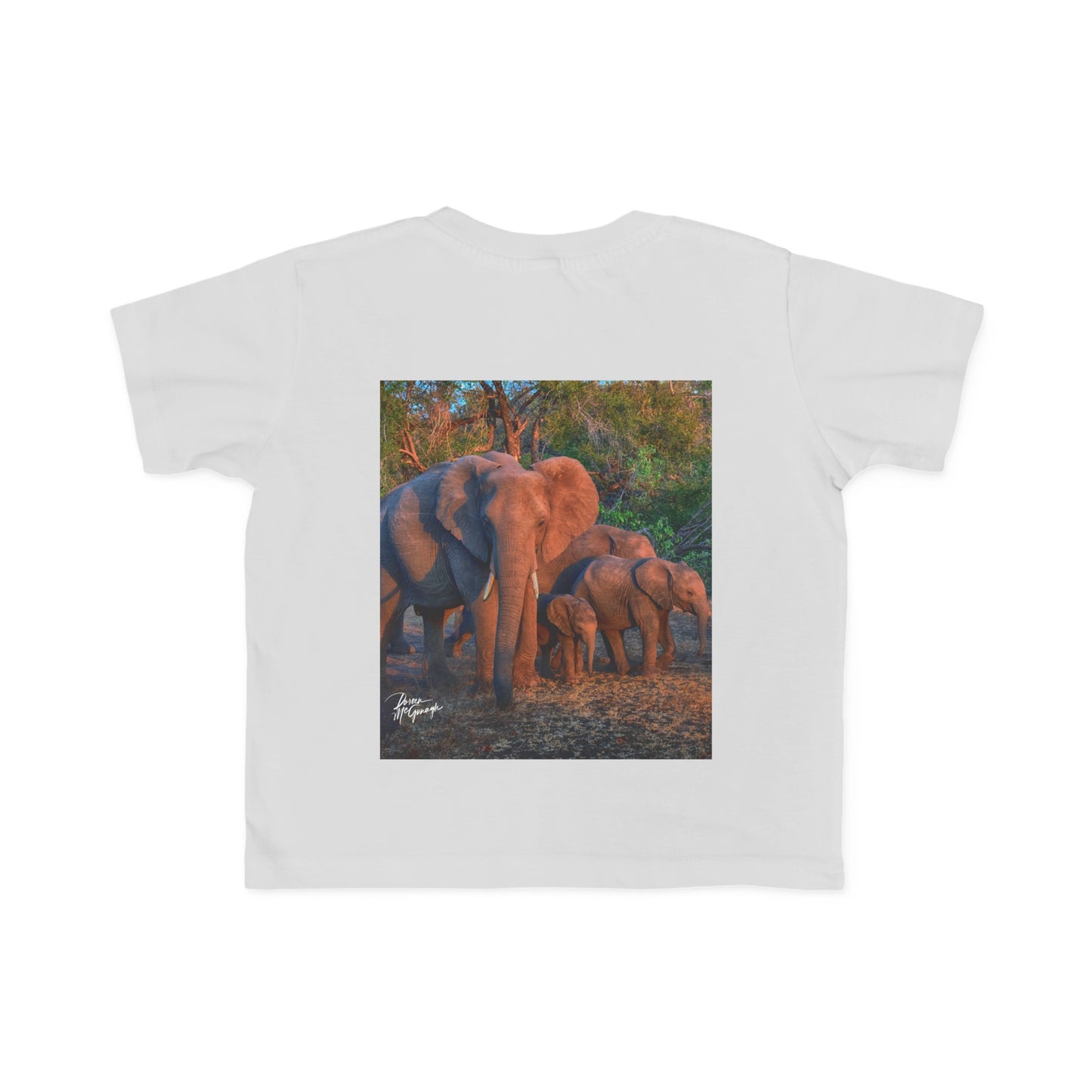 Enjoy Nature Toddler Tee - Elephant Family