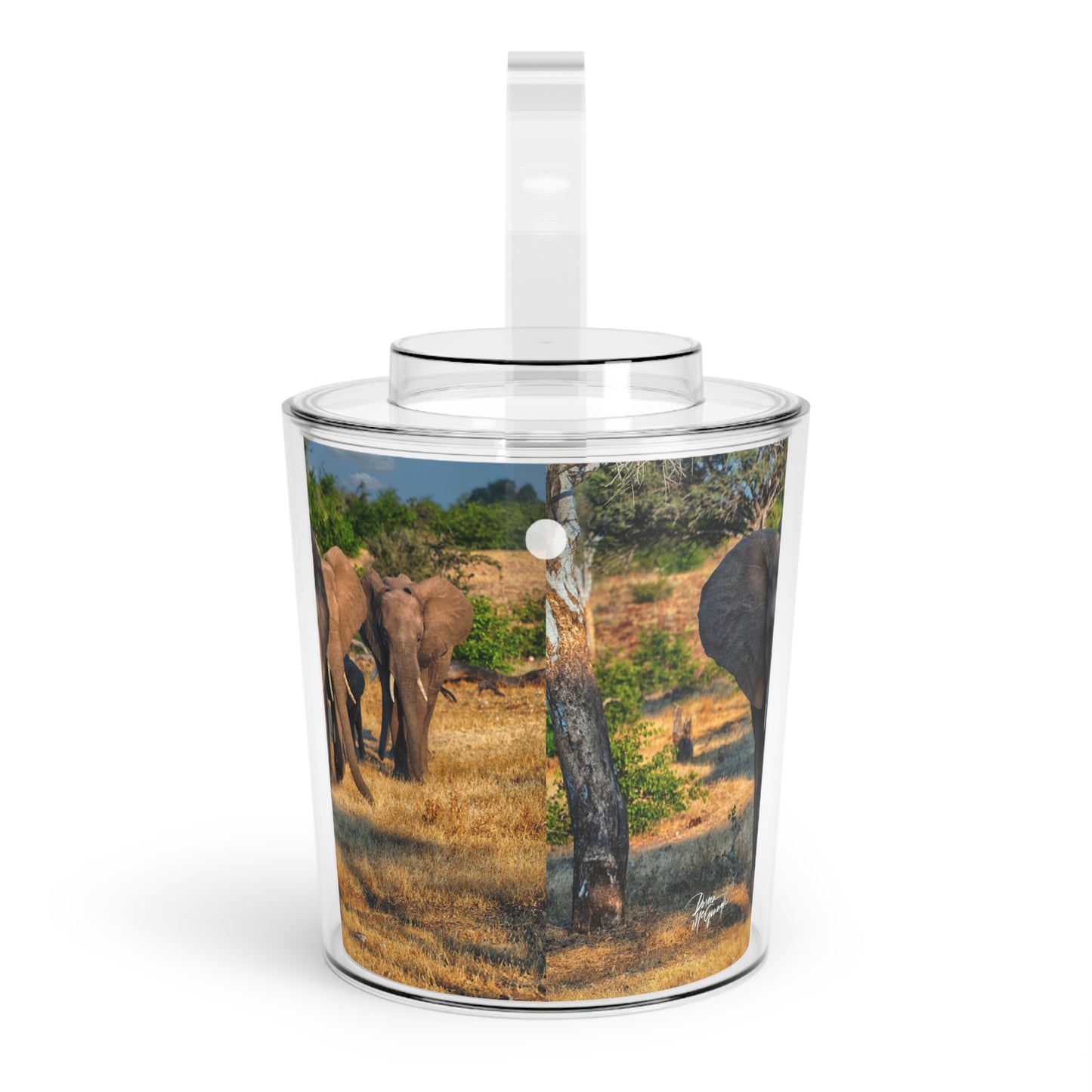 Enjoy Nature Herd of Elephants Walking Insulated Ice Bucket