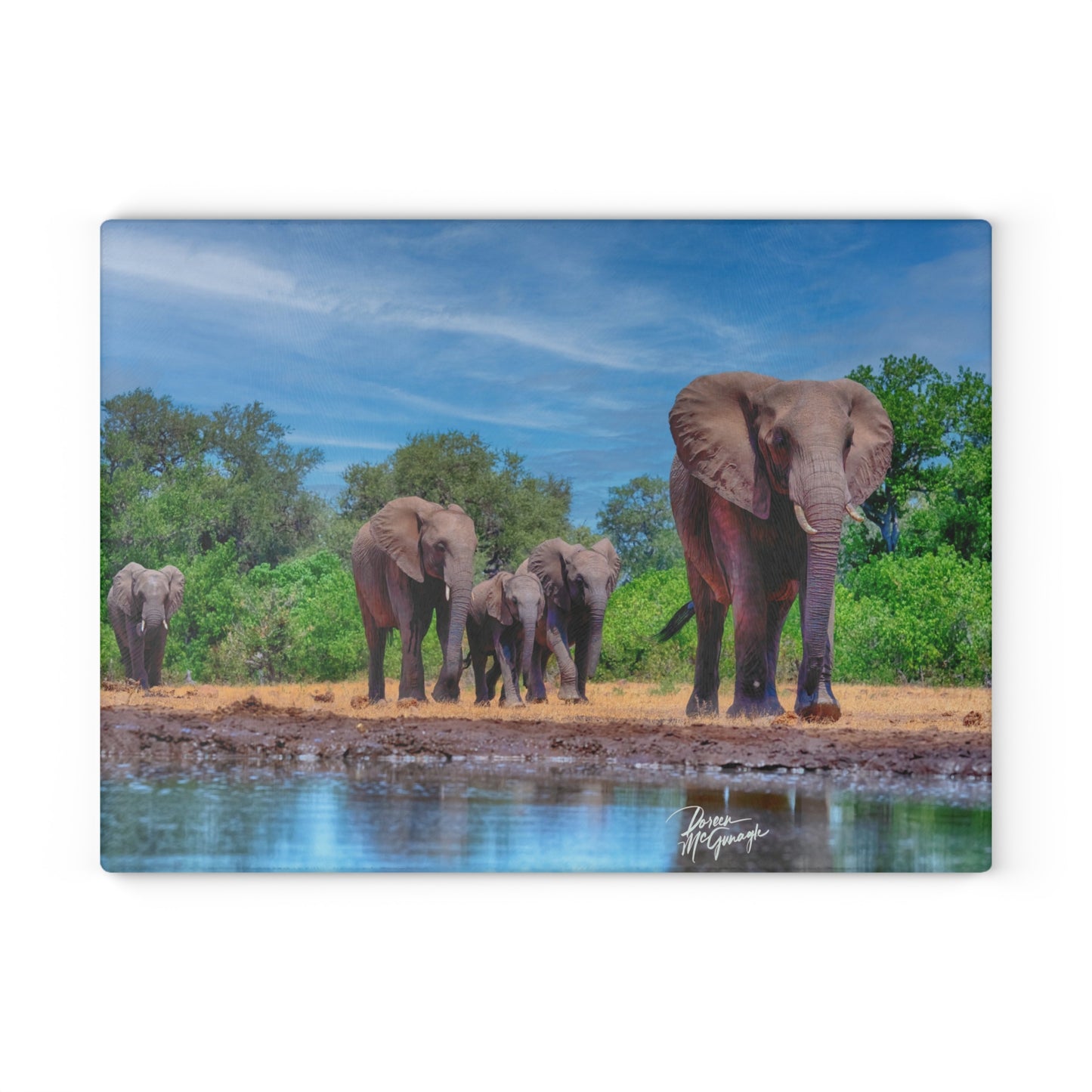 Enjoy Nature Glass Charcuterie Cutting Board with Elephant Family at Watering Hole Design