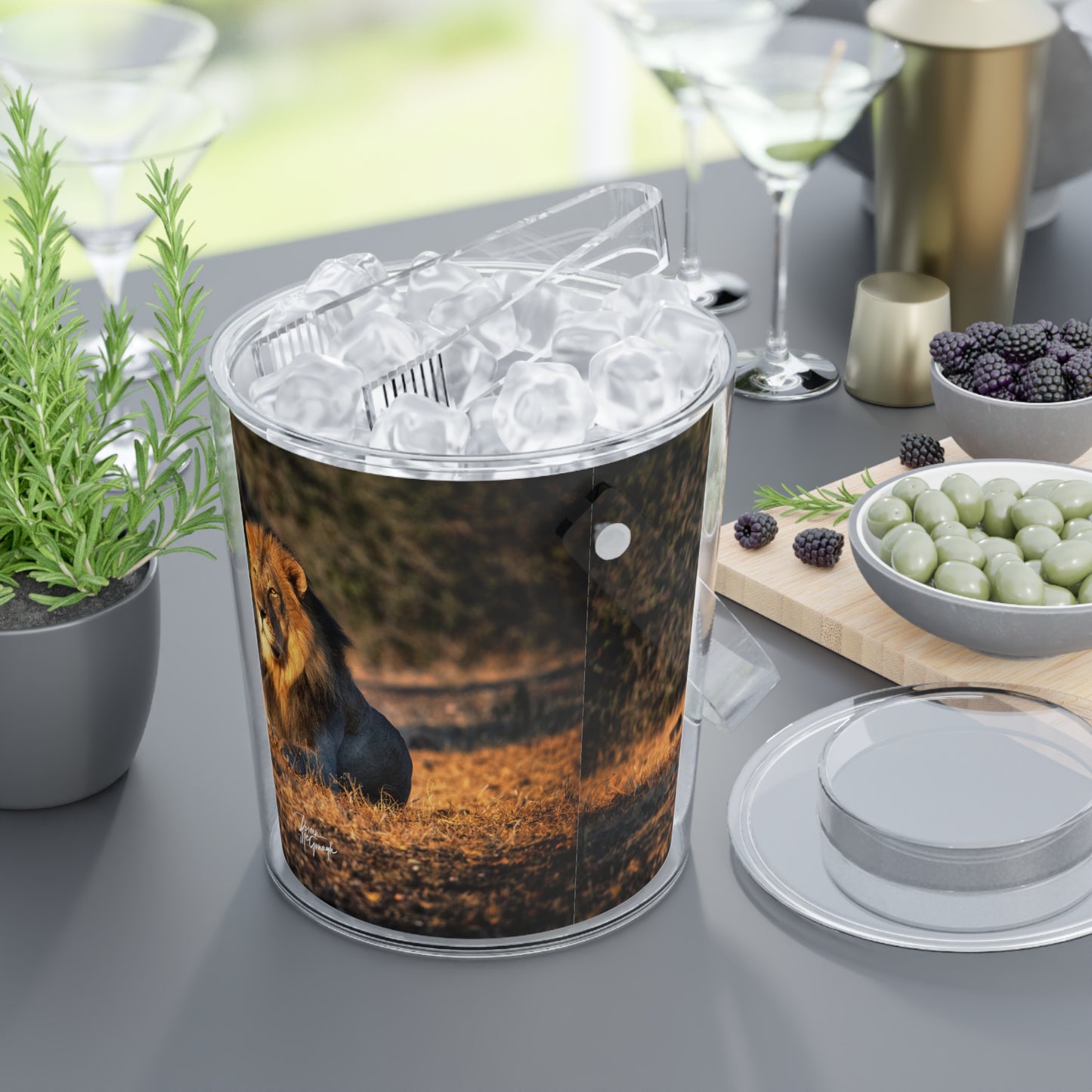 Enjoy Nature Lion King of Jungle Insulated Ice Bucket