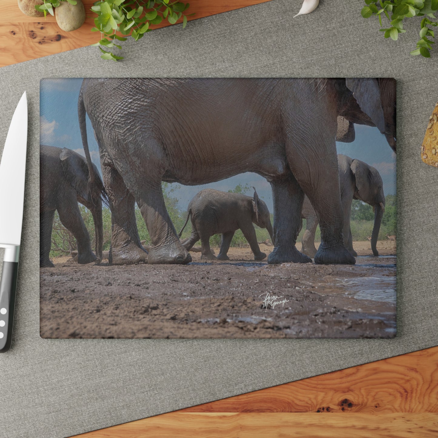 Enjoy Nature Glass Charcuterie Cutting Board with Baby Elephant Walk with Mom Design