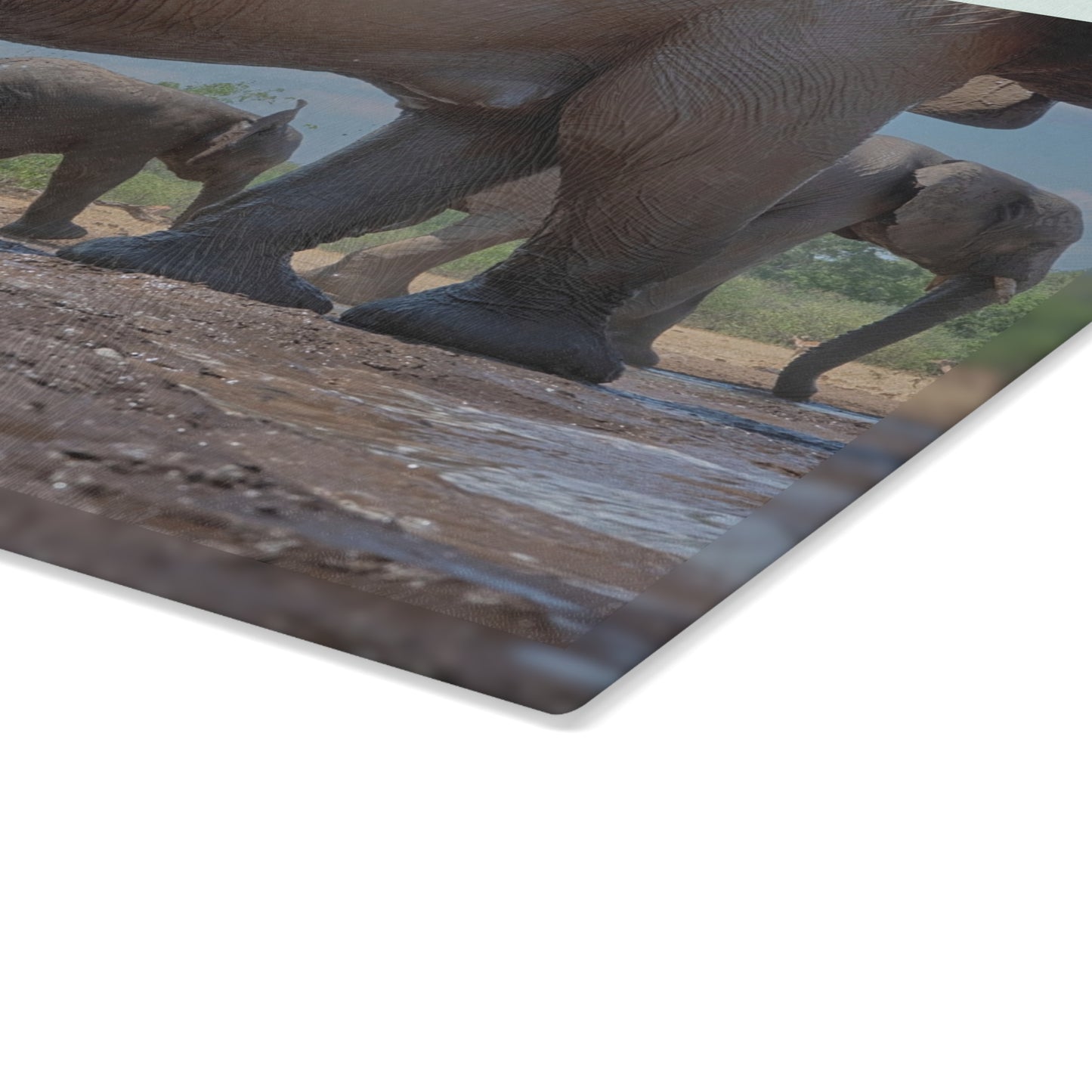 Enjoy Nature Glass Charcuterie Cutting Board with Baby Elephant Walk with Mom Design